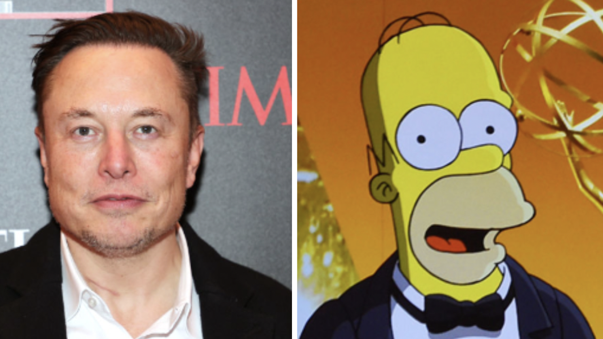 Who said it? Elon Musk or Homer Simpson?