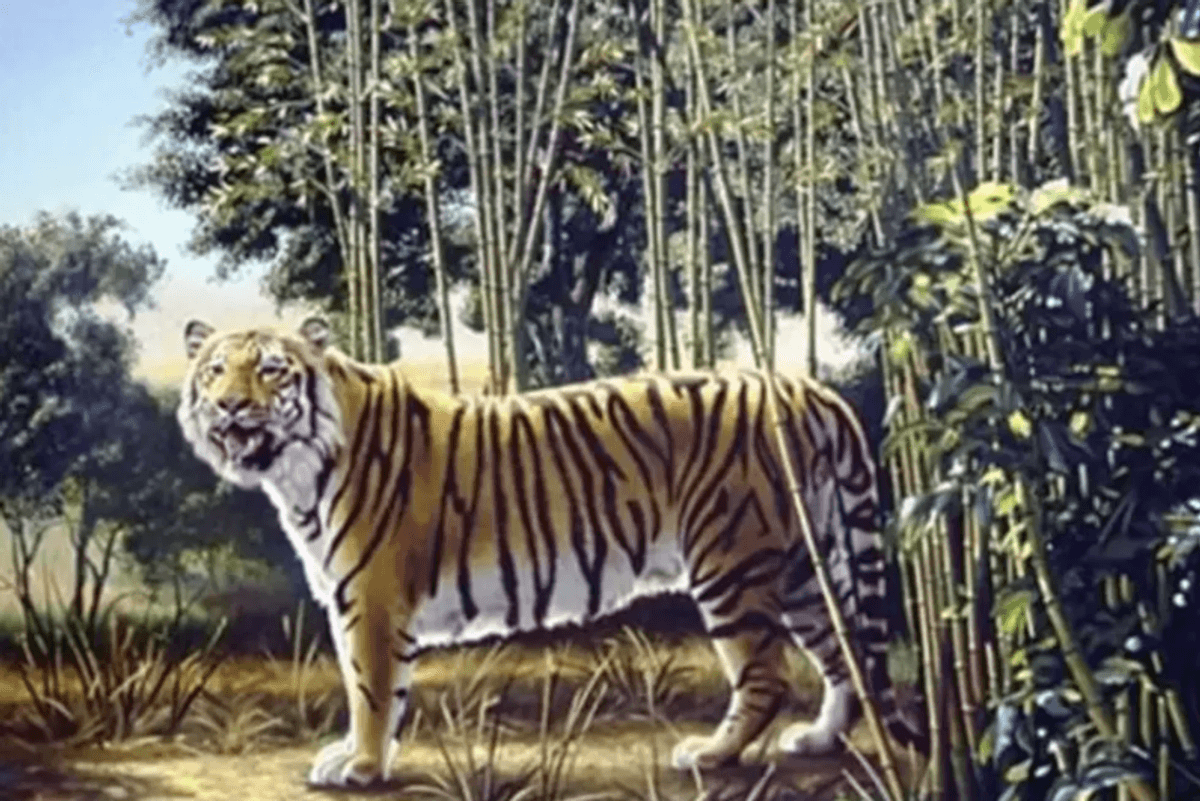 Only the top one percent of intellects can spot the hidden tiger in this picture