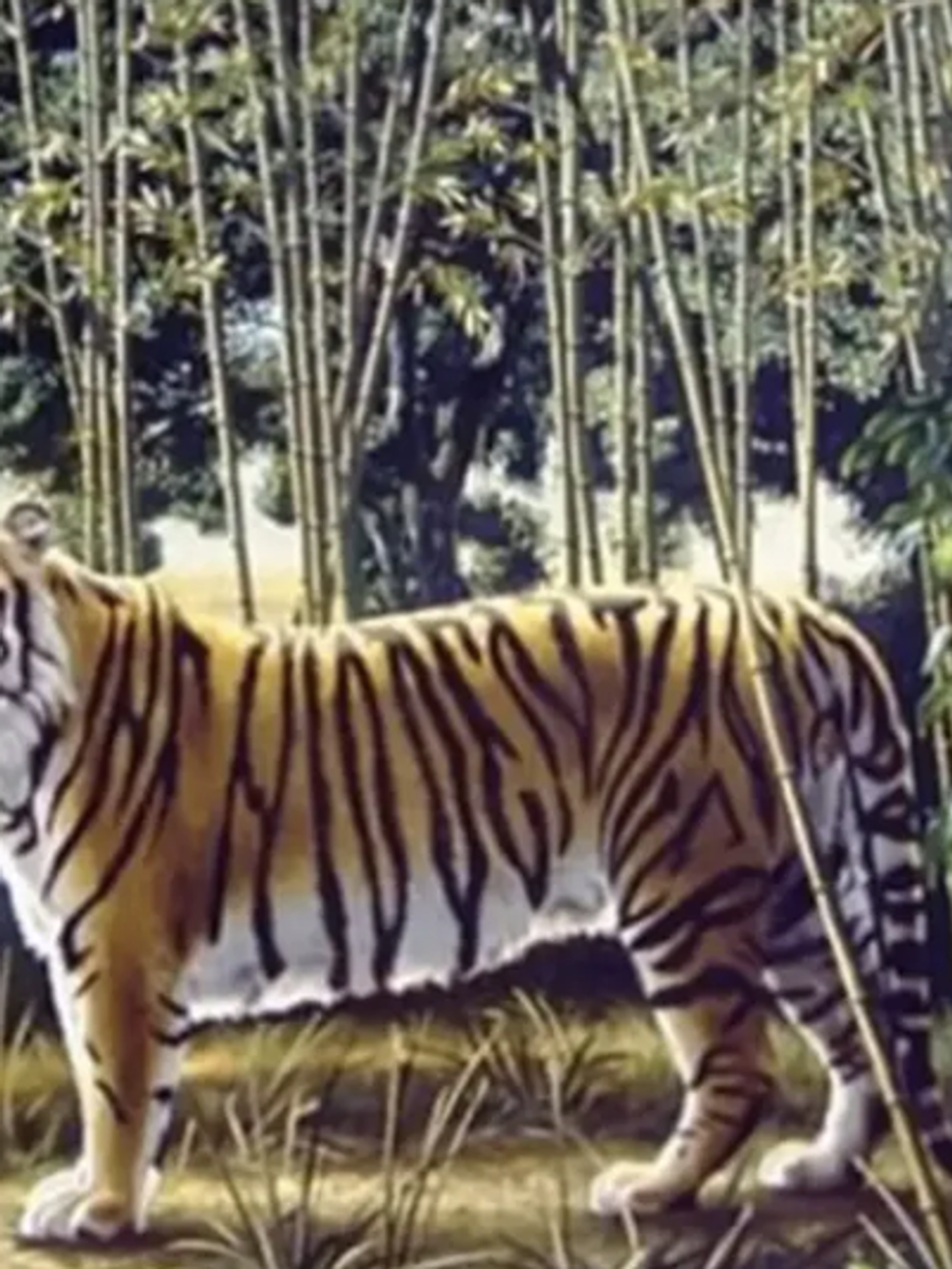 Only the top one percent of intellects can spot the hidden tiger ...
