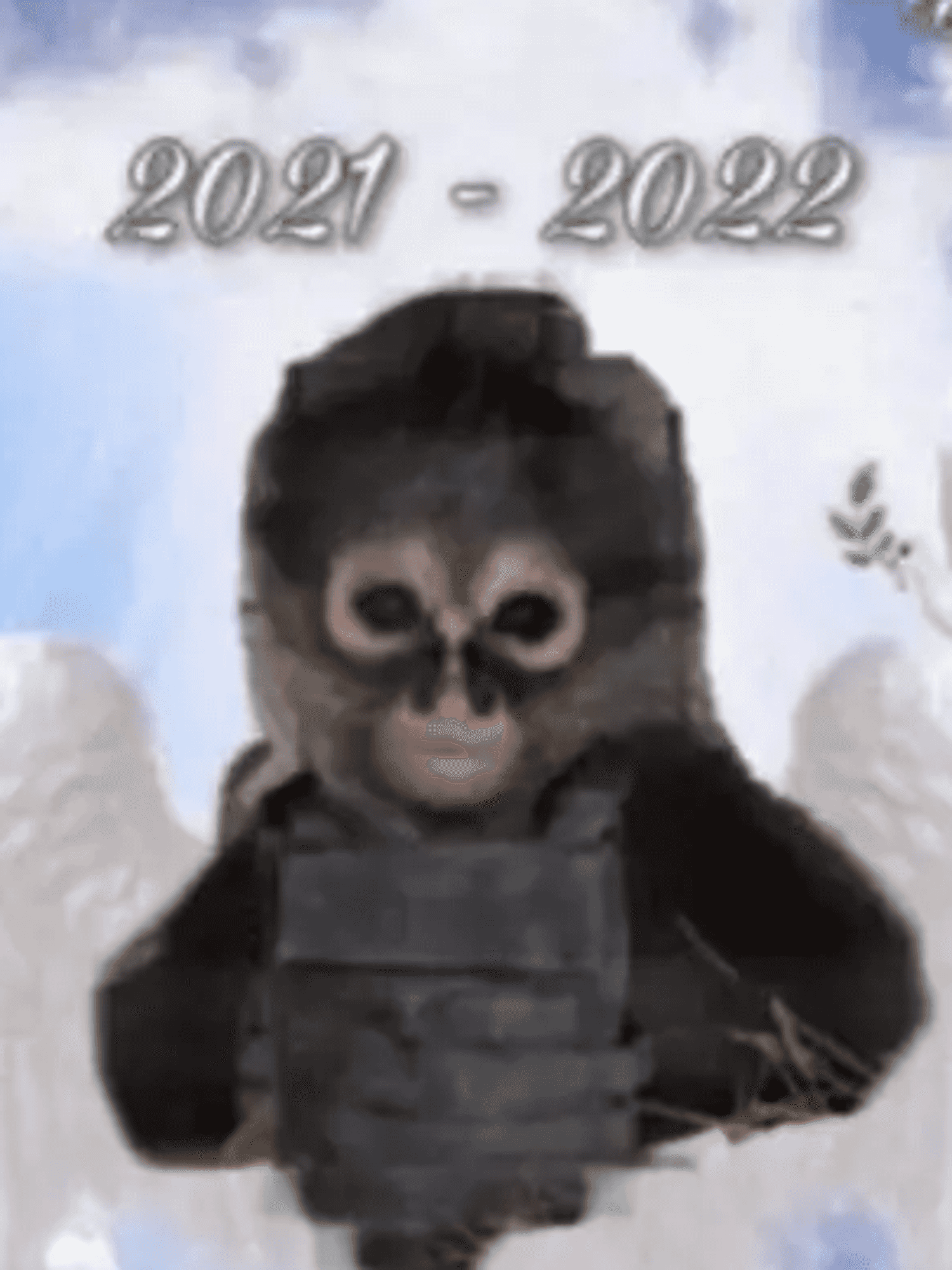 Monkey dubbed 'El Chango' who was killed in a Mexican drug shootout remembered in a song