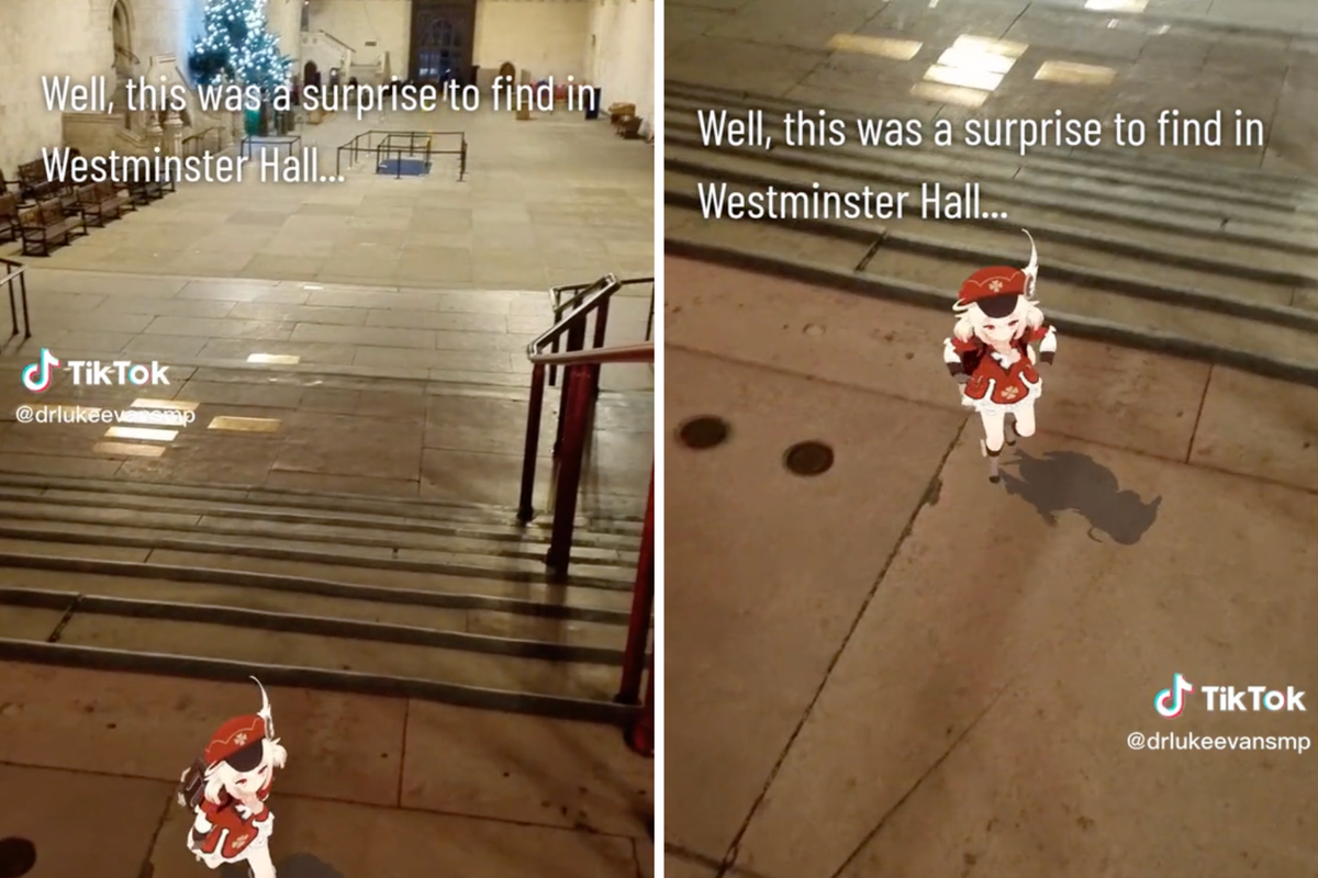 MP spots 'surprise' in Westminster and TikTokers ask if it's Queen's ghost