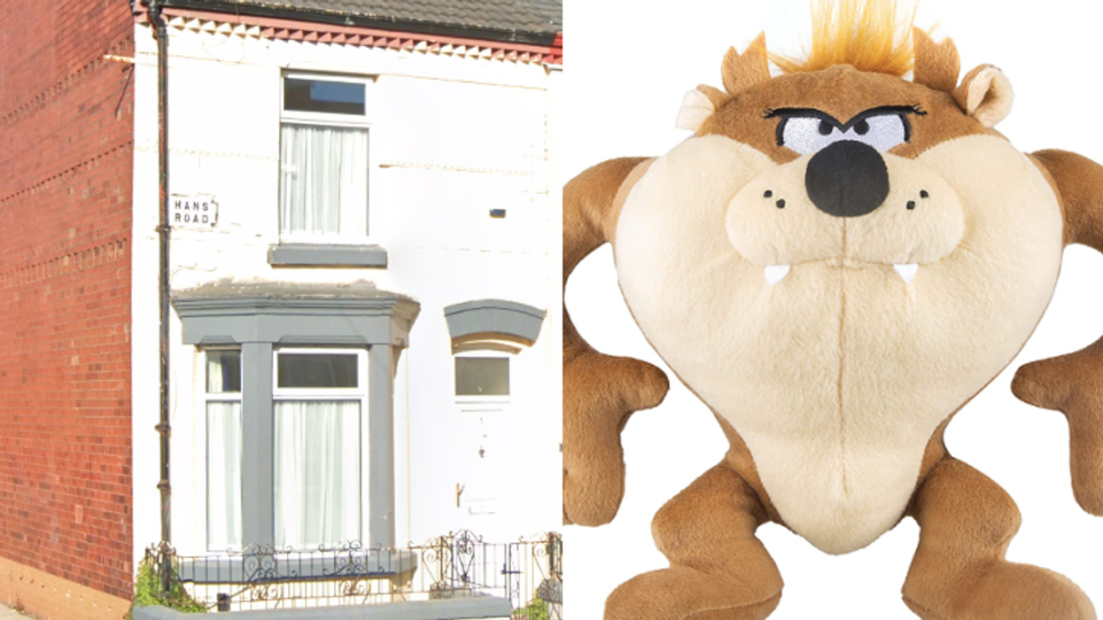 House on sale full of Looney Tunes toys goes viral for obvious reasons