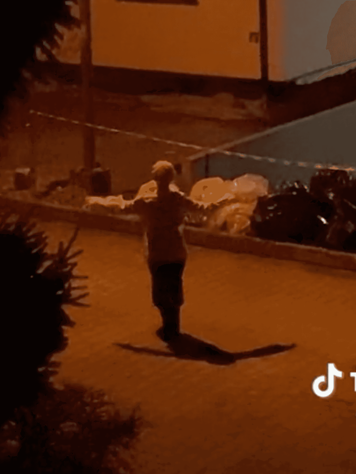 Who is the 'Serbian dancing lady' creeping out TikTok?