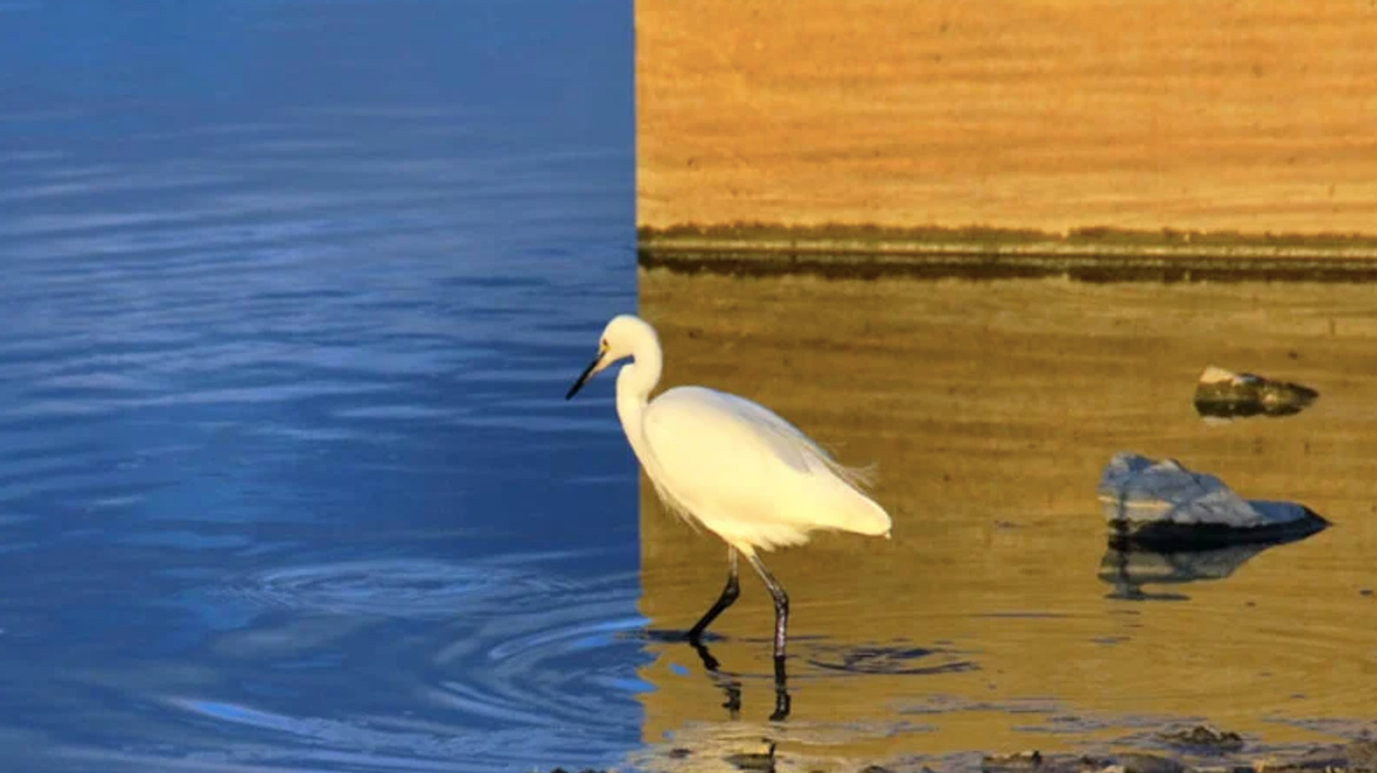 Mind blowing photo goes viral because it hasn't been edited at all