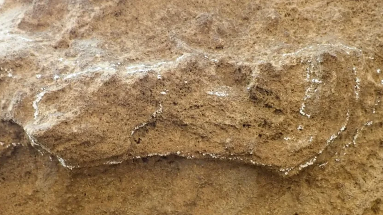 Study of oldest footprint ever may change the entire history of humanity