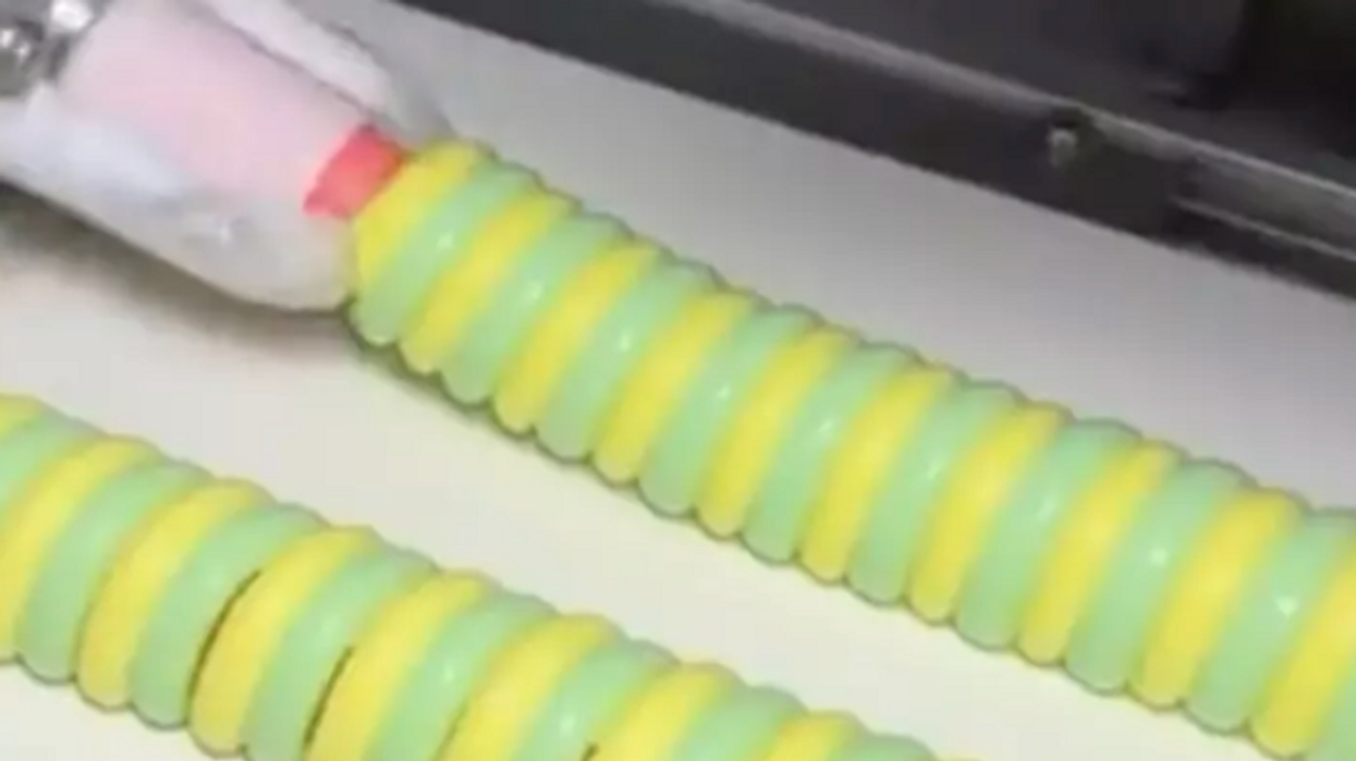 Video of how Twister ice creams are made leave viewers horrified