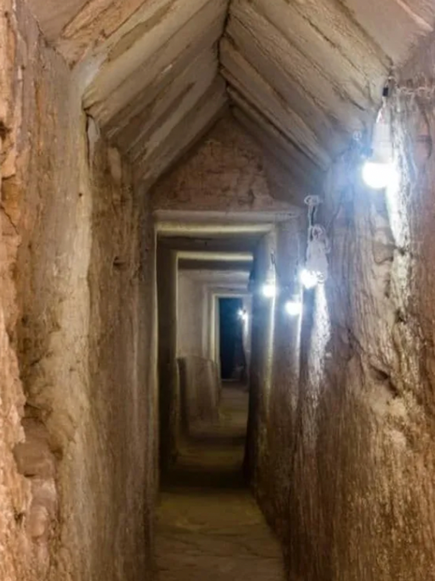 Archaeologists discover 'miracle' in ancient Egyptian tomb