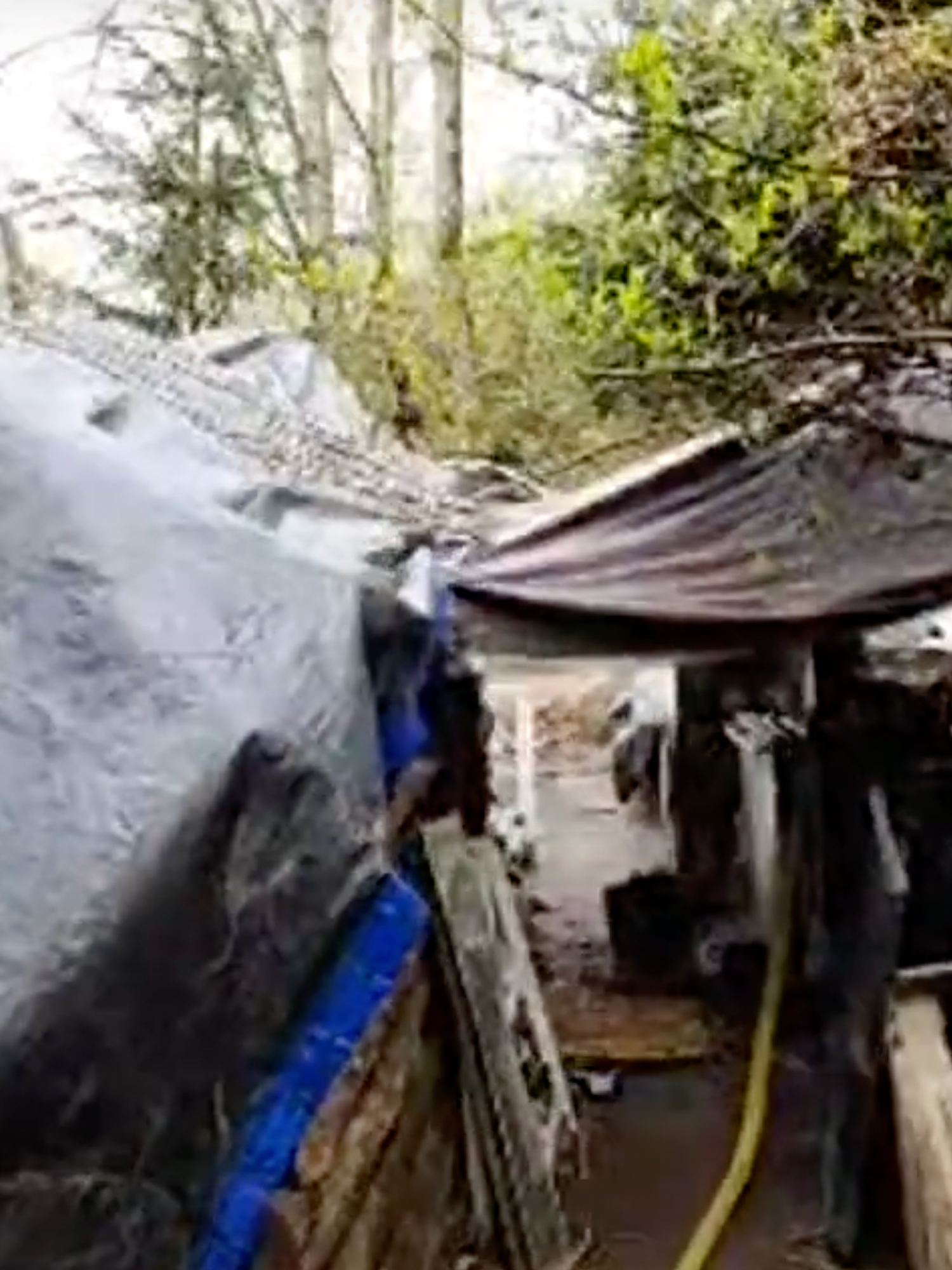 Man illegally builds 'timebomb' cabin in public park in search of hidden treasure