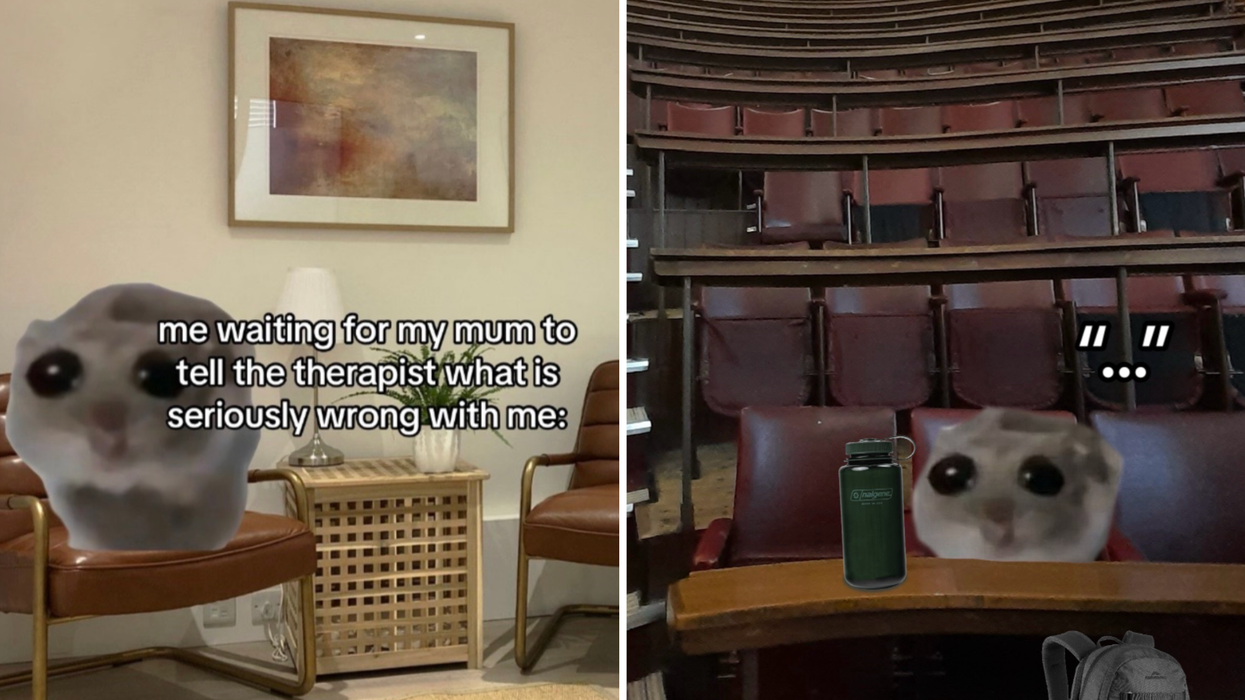 The sad hamster TikTok meme explained