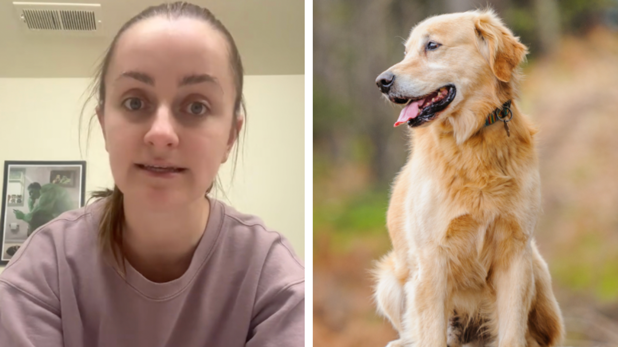 Doggy daycare 'switched' woman's pet with another dog