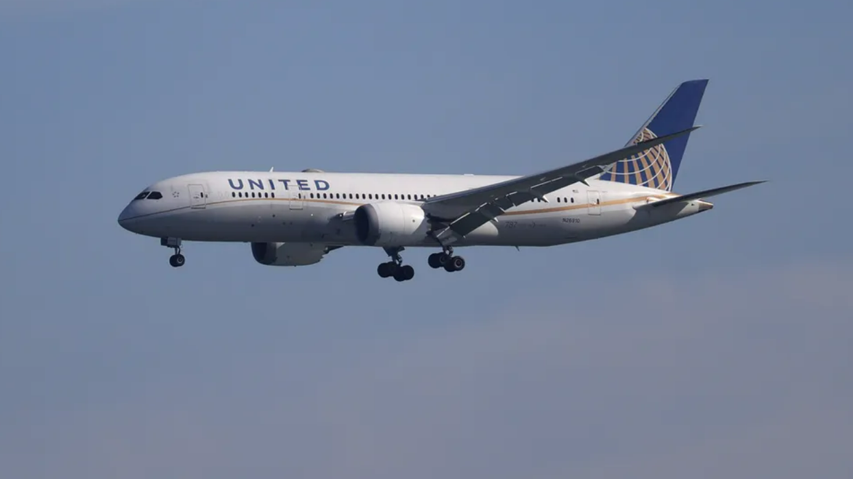 Plane diverted after staff spend two hours cleaning up dog poo