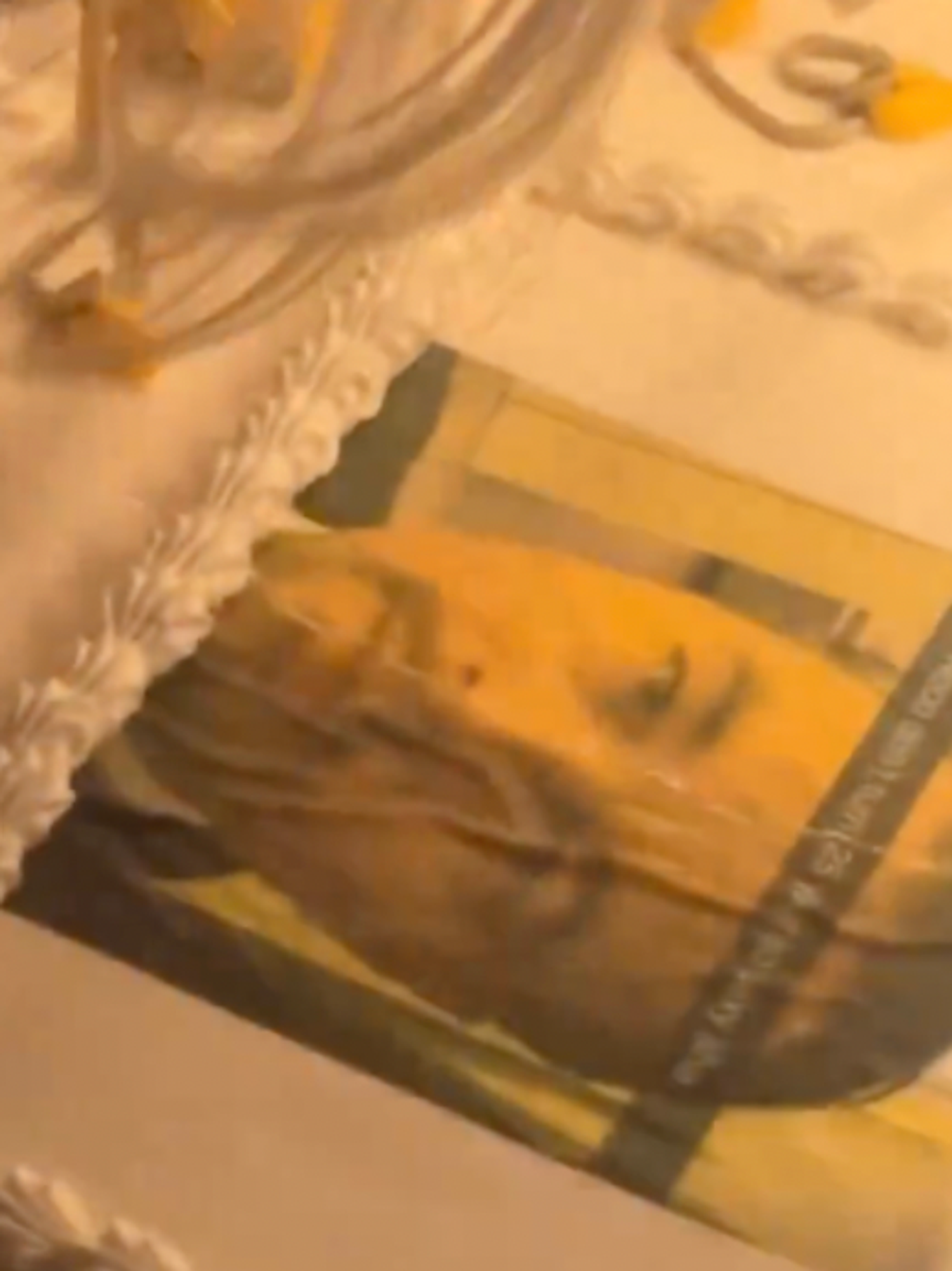 Sabrina Carpenter celebrates milestone birthday with Leonardo DiCaprio meme cake