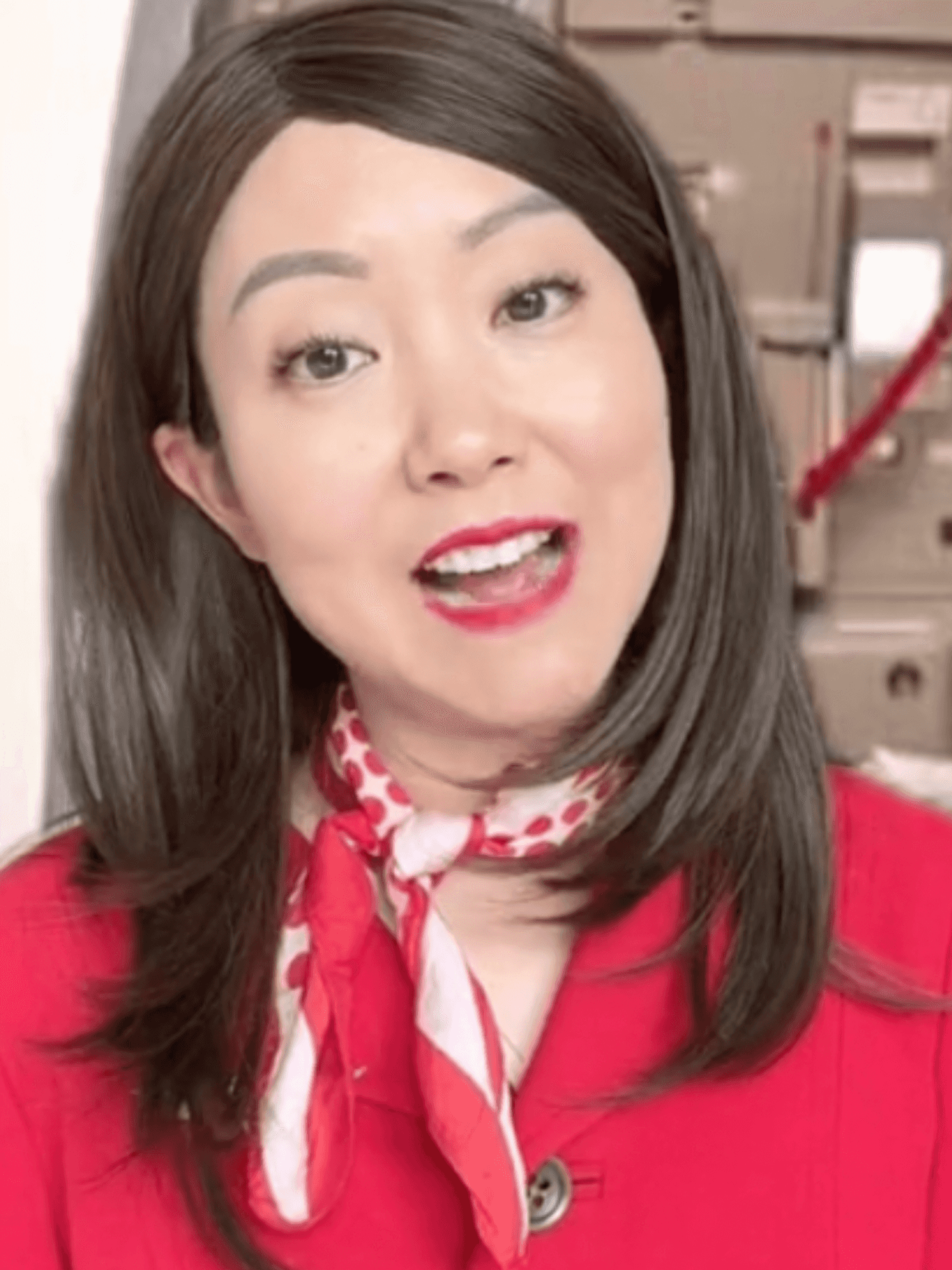 Flight attendant reveals the reasons people are kicked off planes