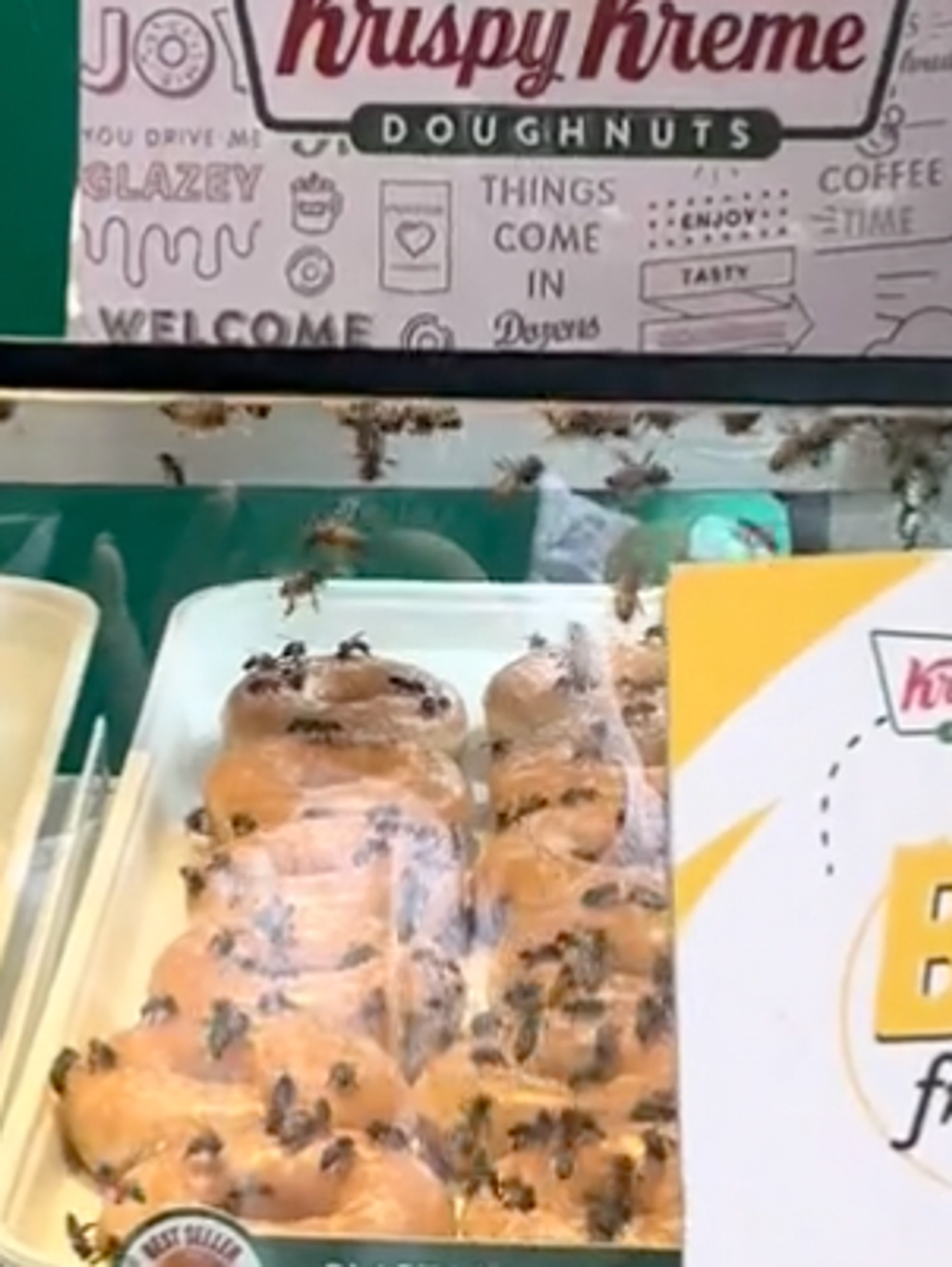 'Bee friendly' Krispy Kreme stand seen crawling with bees: "Hell no"