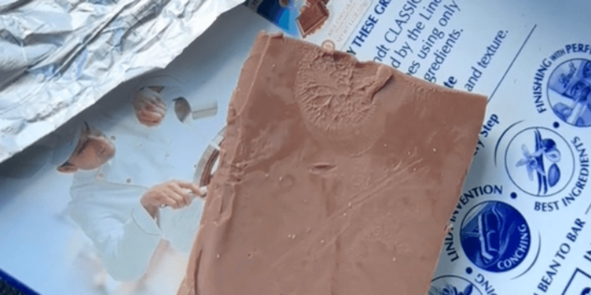 Mite Candy Woman horrified to discover 'mites' crawling on her chocolate bar | indy100