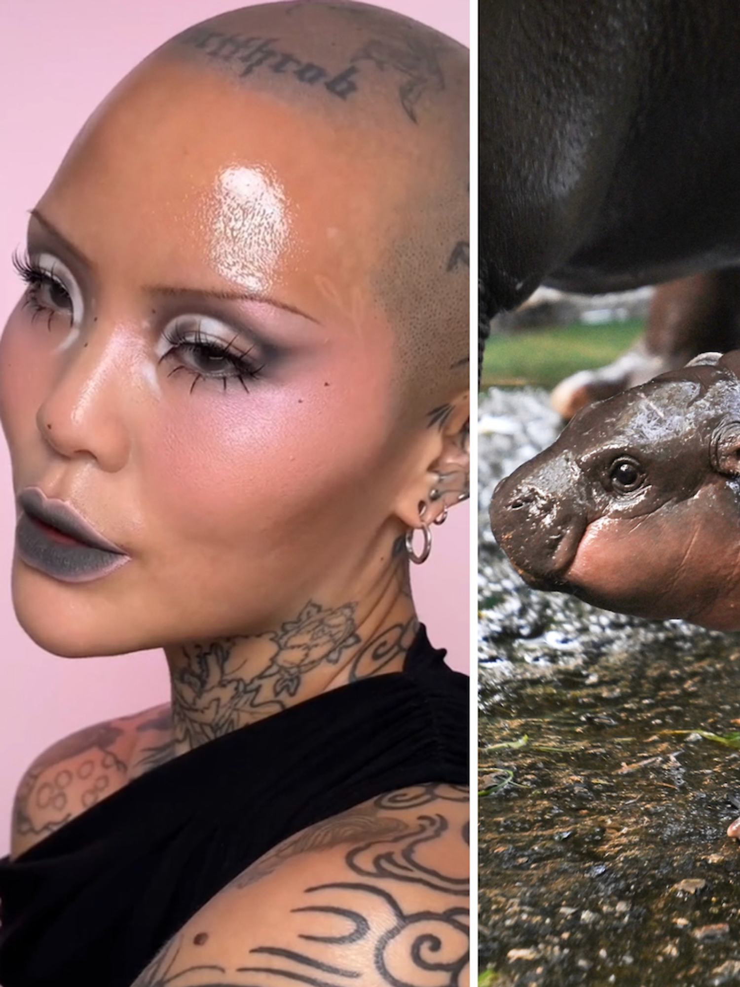 Moo Deng the viral hippo inspires rose-cheeked beauty trend