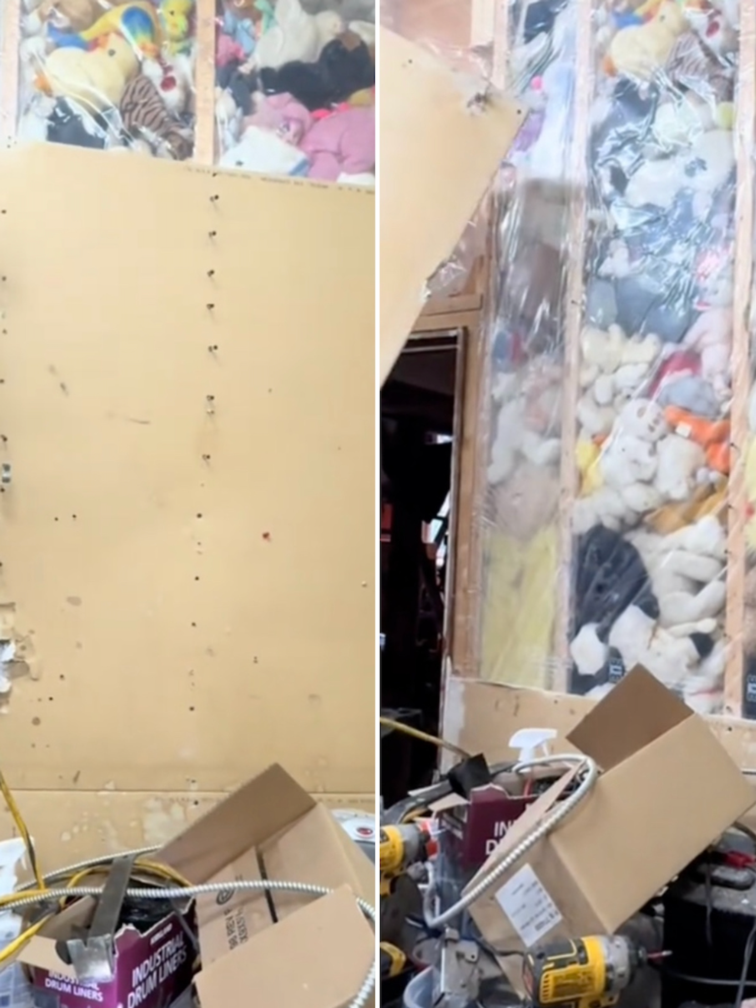 Couple find walls filled with stuffed animals in bizarre discovery