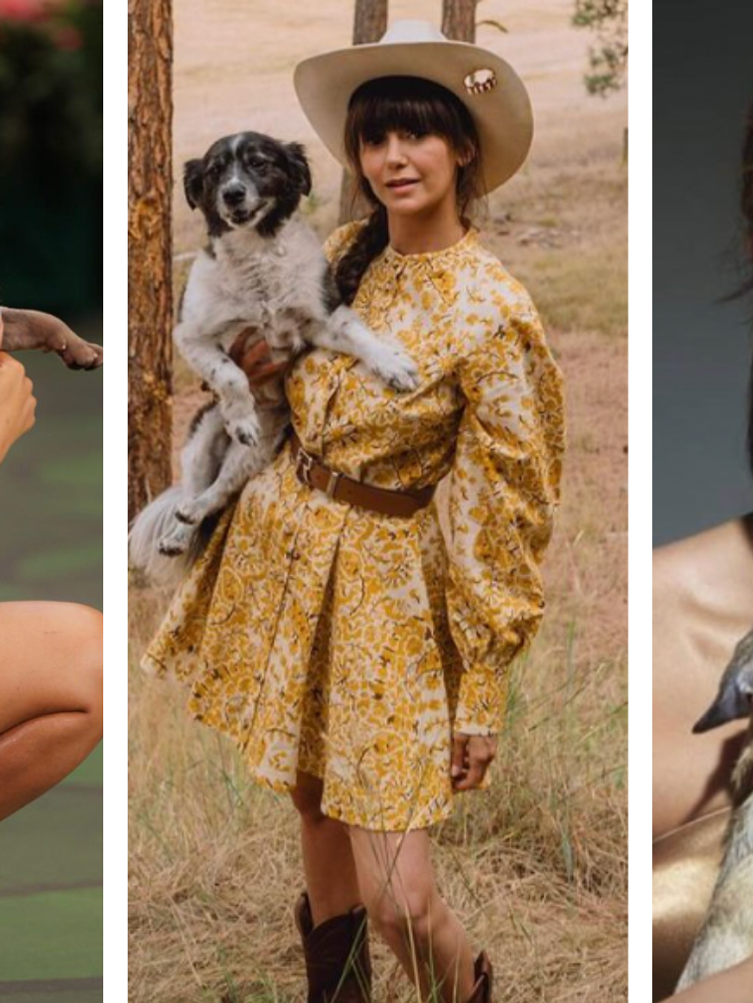 'Nepo-pets' are earning more than the average Brit – from a single Instagram post