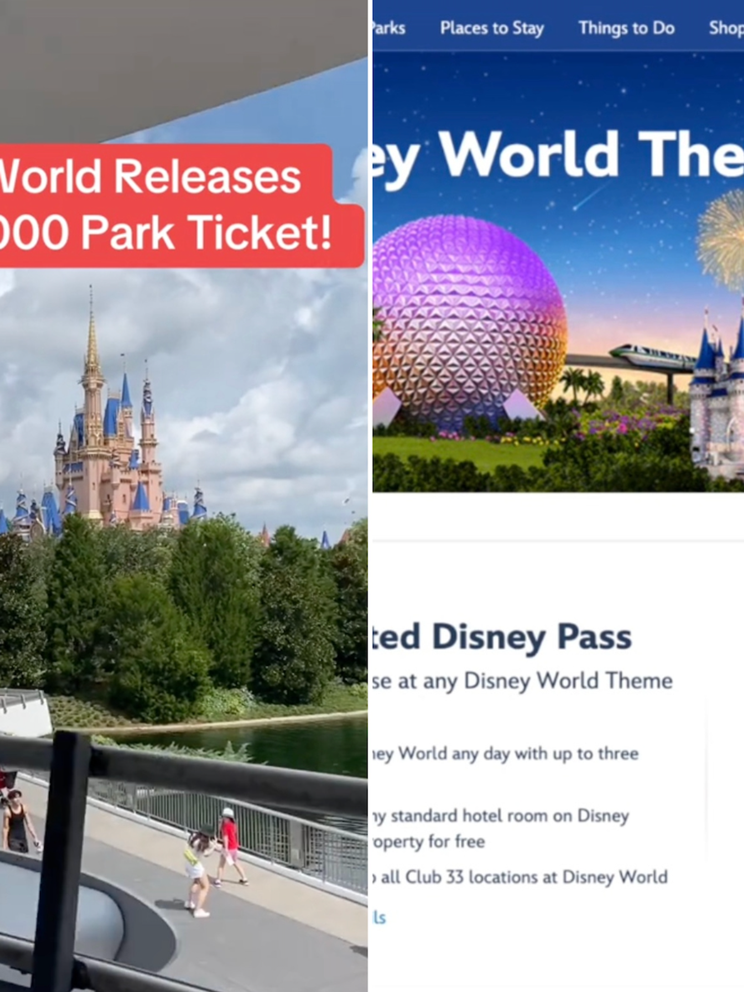 Disney 'releases $10,000,000 theme park ticket' viral TikTok claim debunked