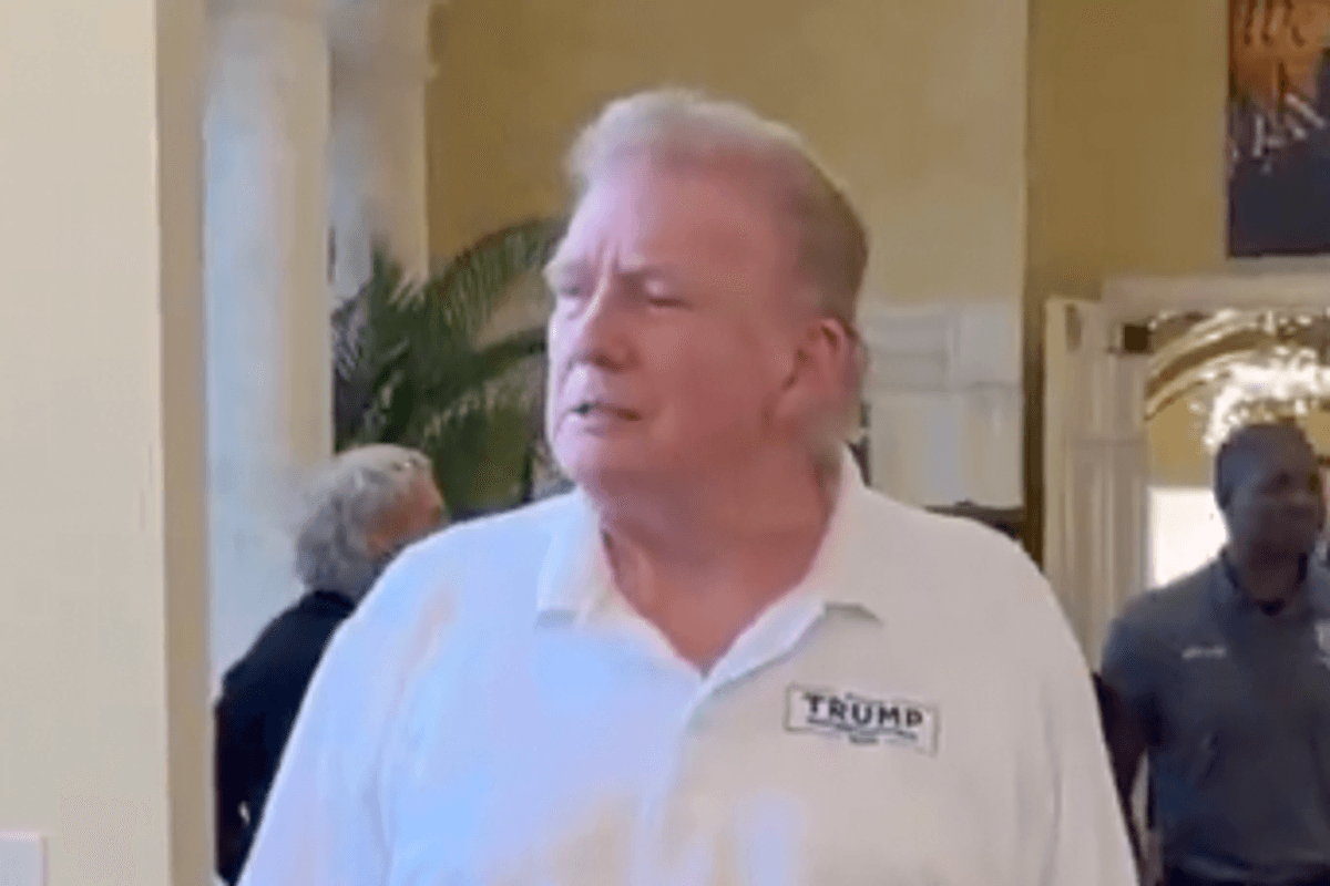 'He looks like Buzz from Home Alone': Donald Trump's new hairstyle is dividing the internet