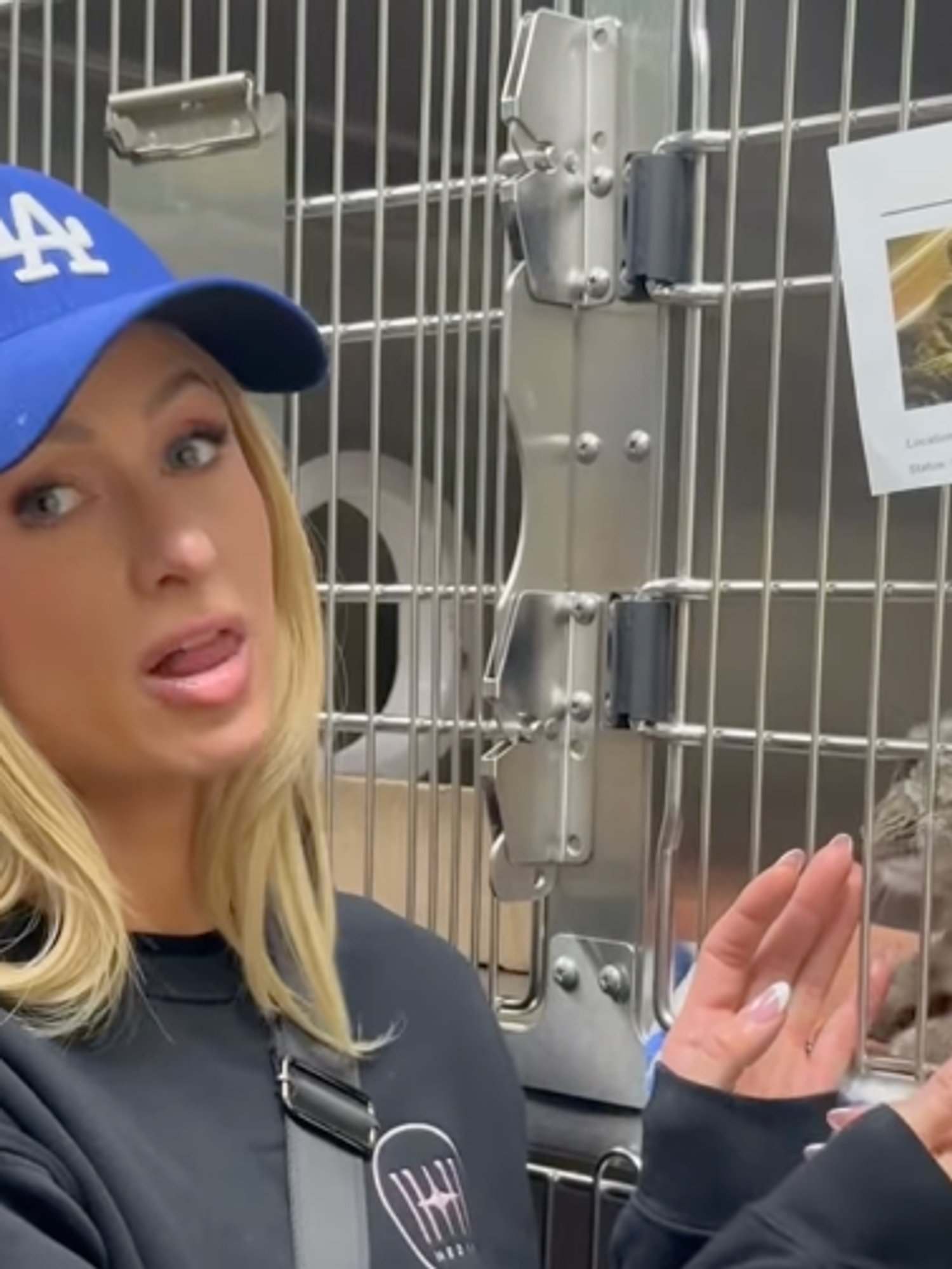 Paris Hilton fosters dog displaced by the LA wildfires after losing her own home