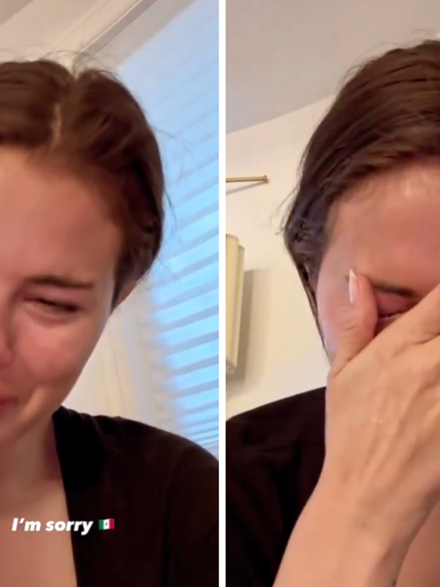 Selena Gomez loses over 700,000 followers amid tearful deportation video backlash