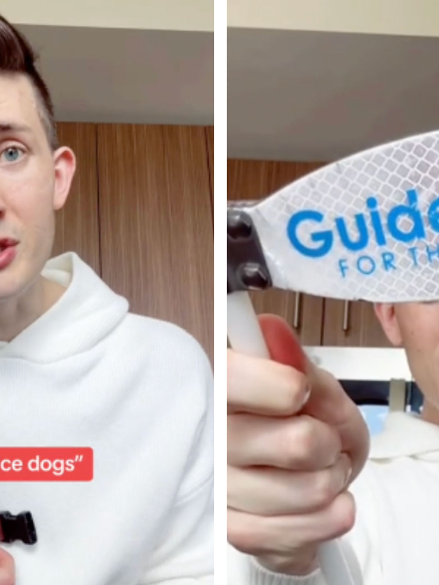 Blind man turned away from restaurant sparks anger on TikTok