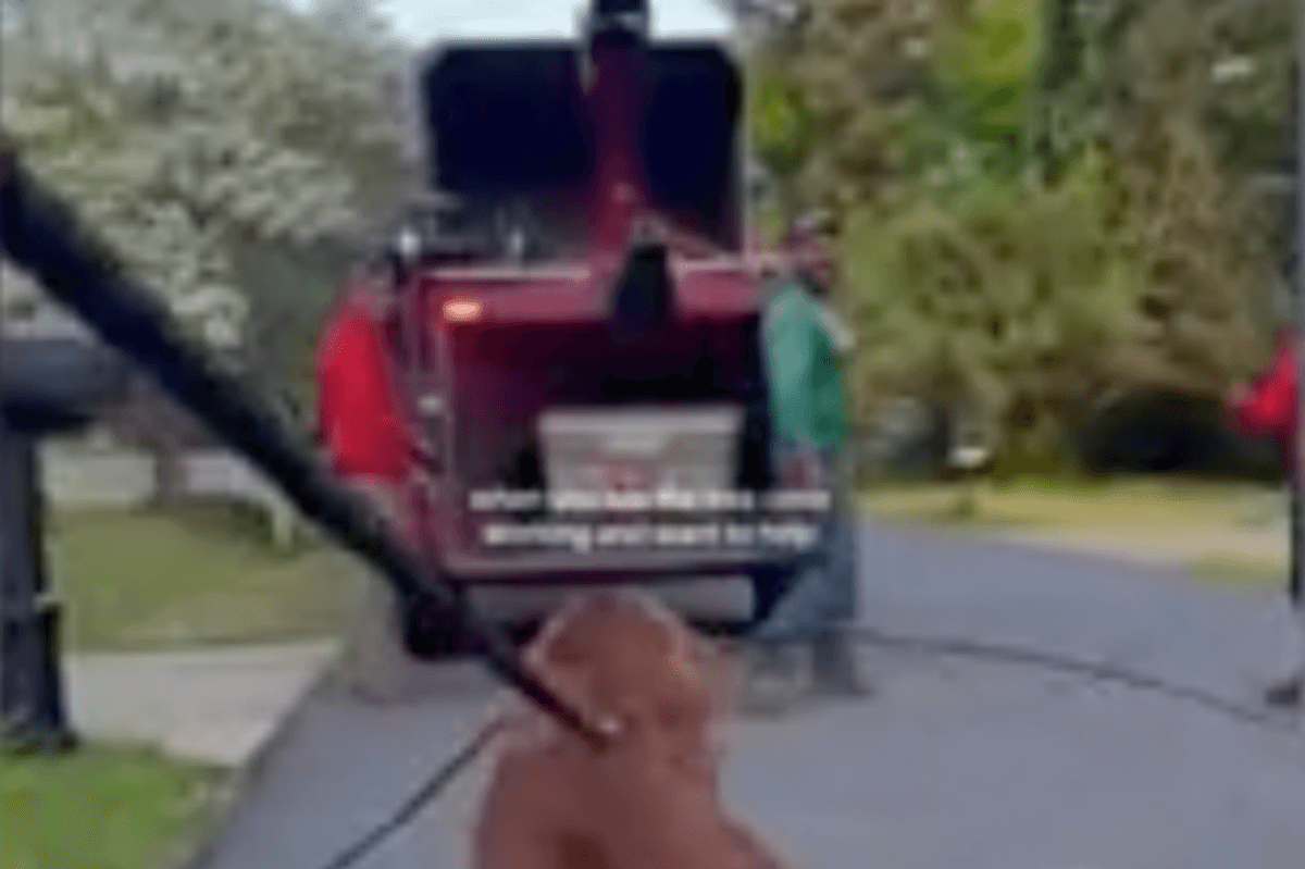 Dog given 'Employee of the Month' by construction workers