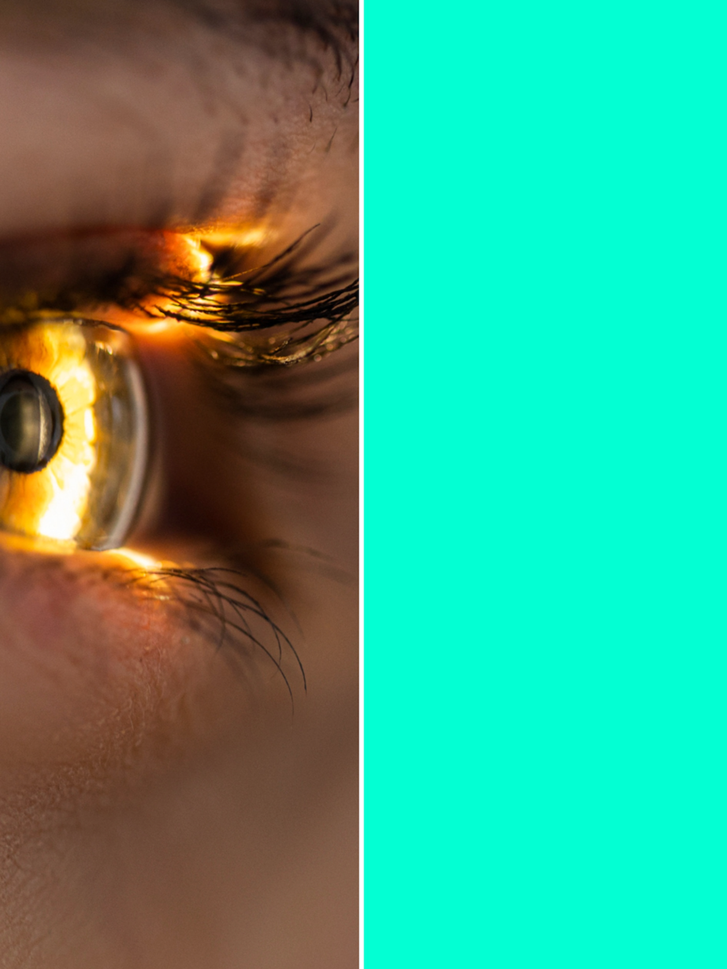 Washington and California scientists discover 'new colour' - and only five people have seen it