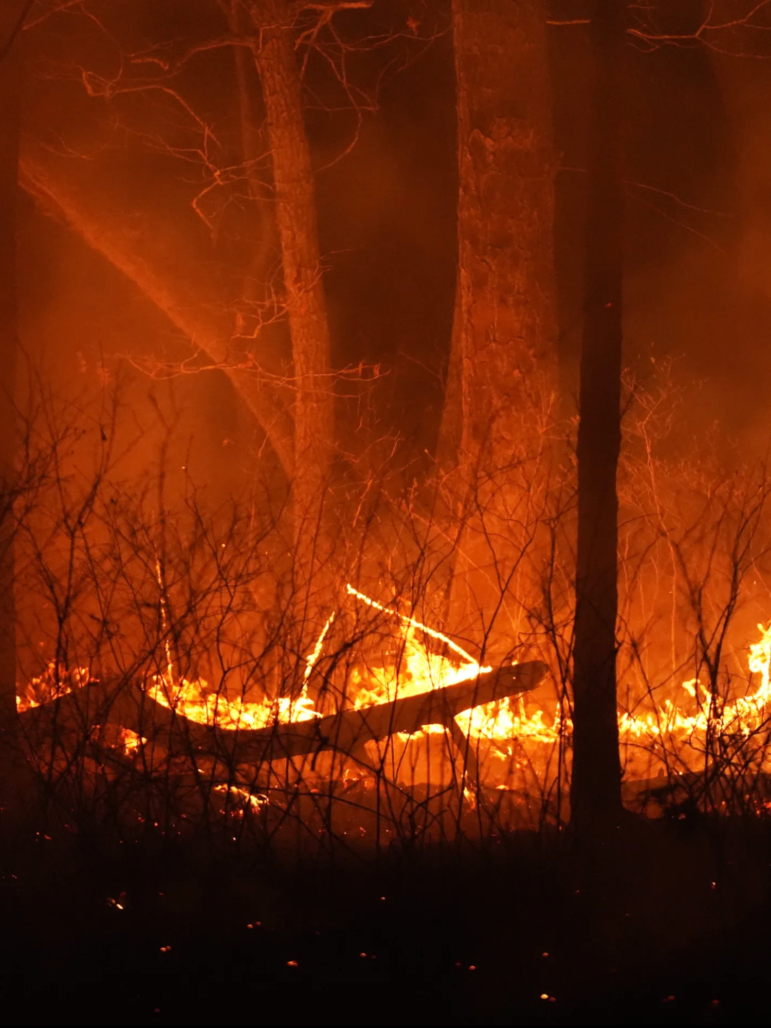 New Jersey wildfires: Shocking footage shared on social media as evacuation order lifted