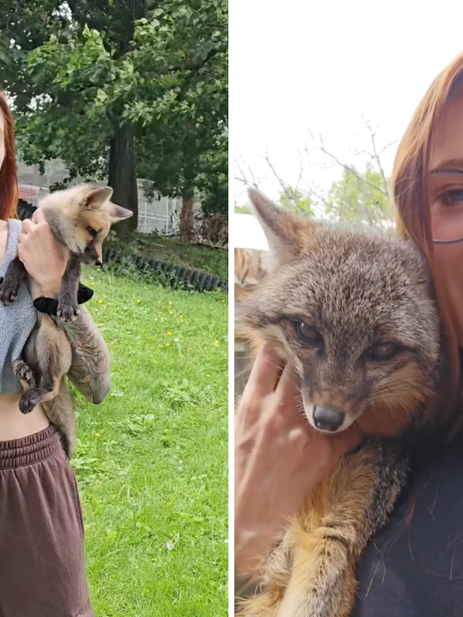 Tributes paid to animal rescue YouTuber Mikayla Raines who has died aged 29