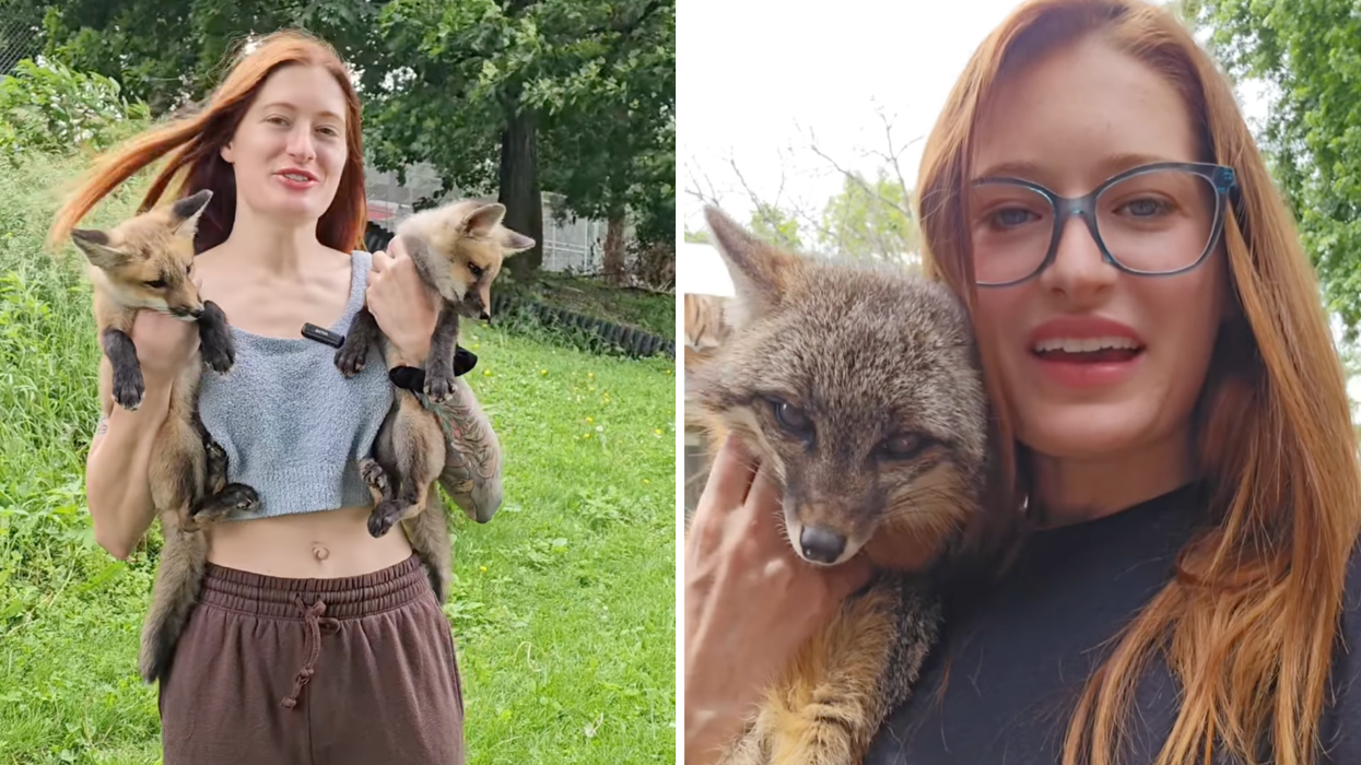 Tributes paid to animal rescue YouTuber Mikayla Raines who has died aged 29