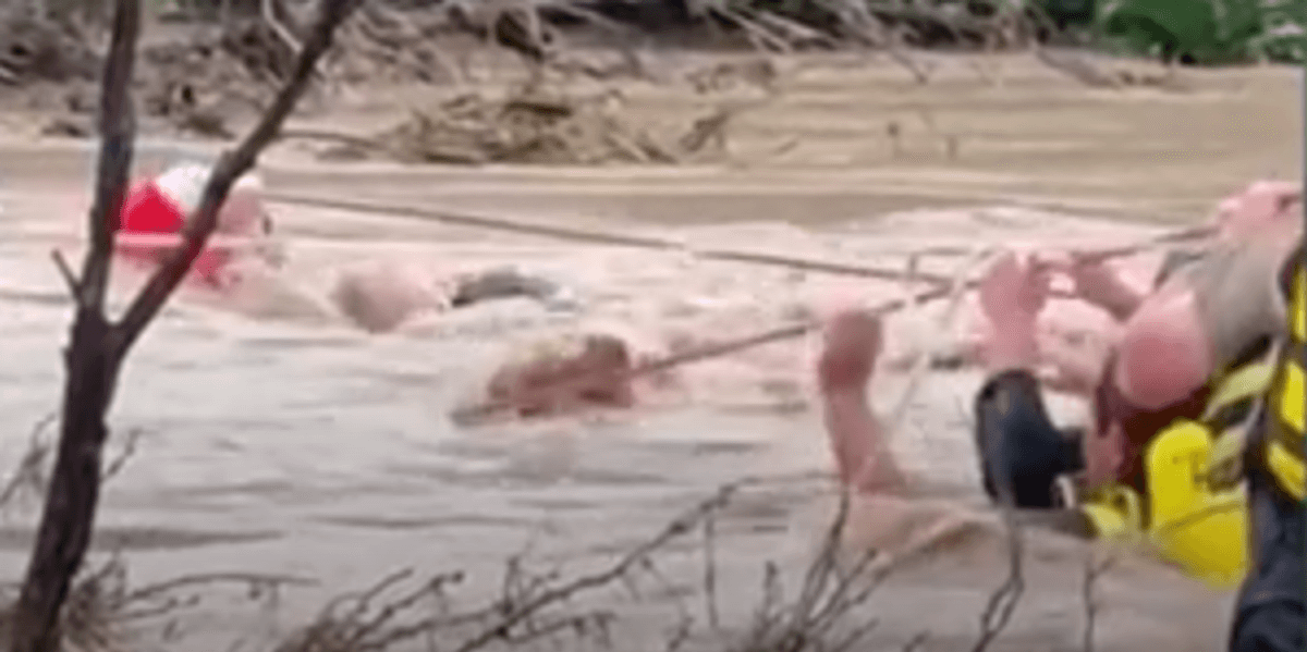 Watch heroic crew carry out dramatic rope rescue during Texas flash ...