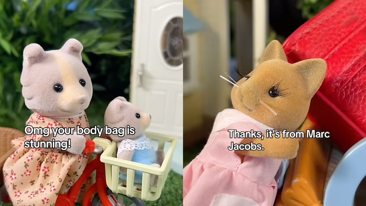 TikTok’s Sylvanian Drama 'sued' by Sylvanian Families - and everyone is saying the same thing