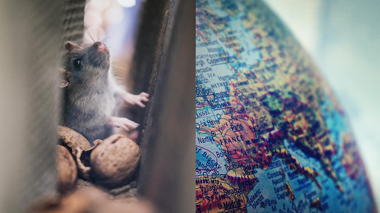 A creepy experiment once predicted the end of the world - should we still be worried today?