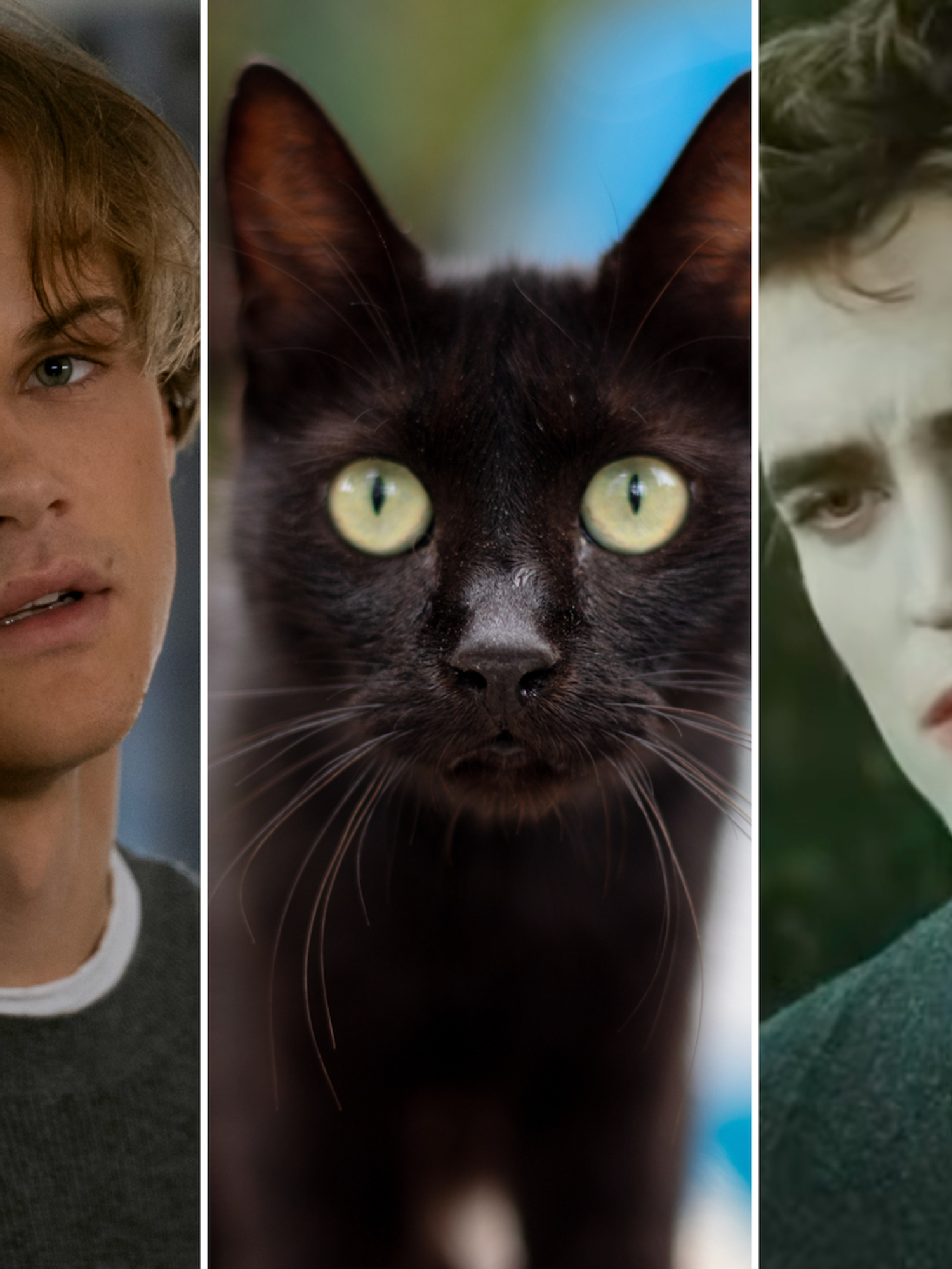 Why The Summer I Turned Pretty fans are now obsessed with 'Black cat boyfriends'