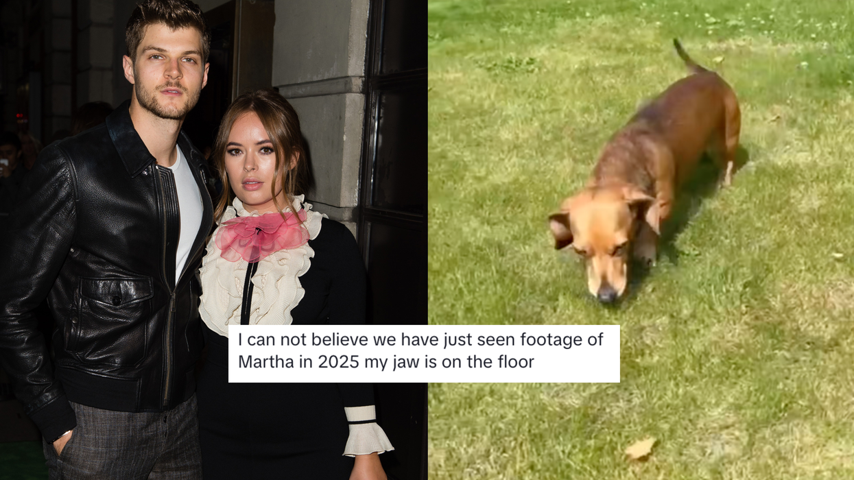 The internet finally has answers on what happened to Jim Chapman and Tanya Burr's dog Martha