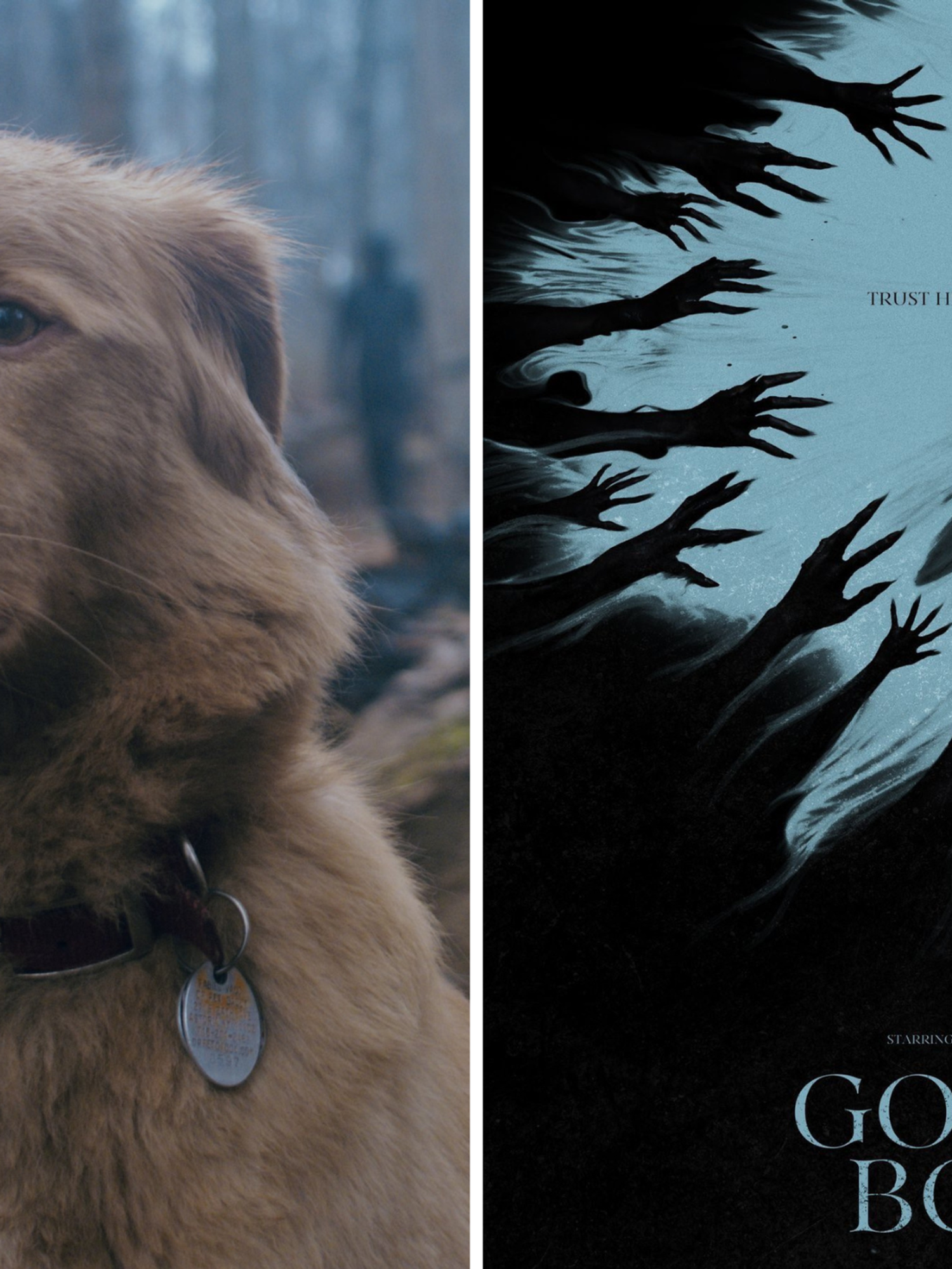 Dog-themed horror trailer Good Boy already has people desperate to know one thing