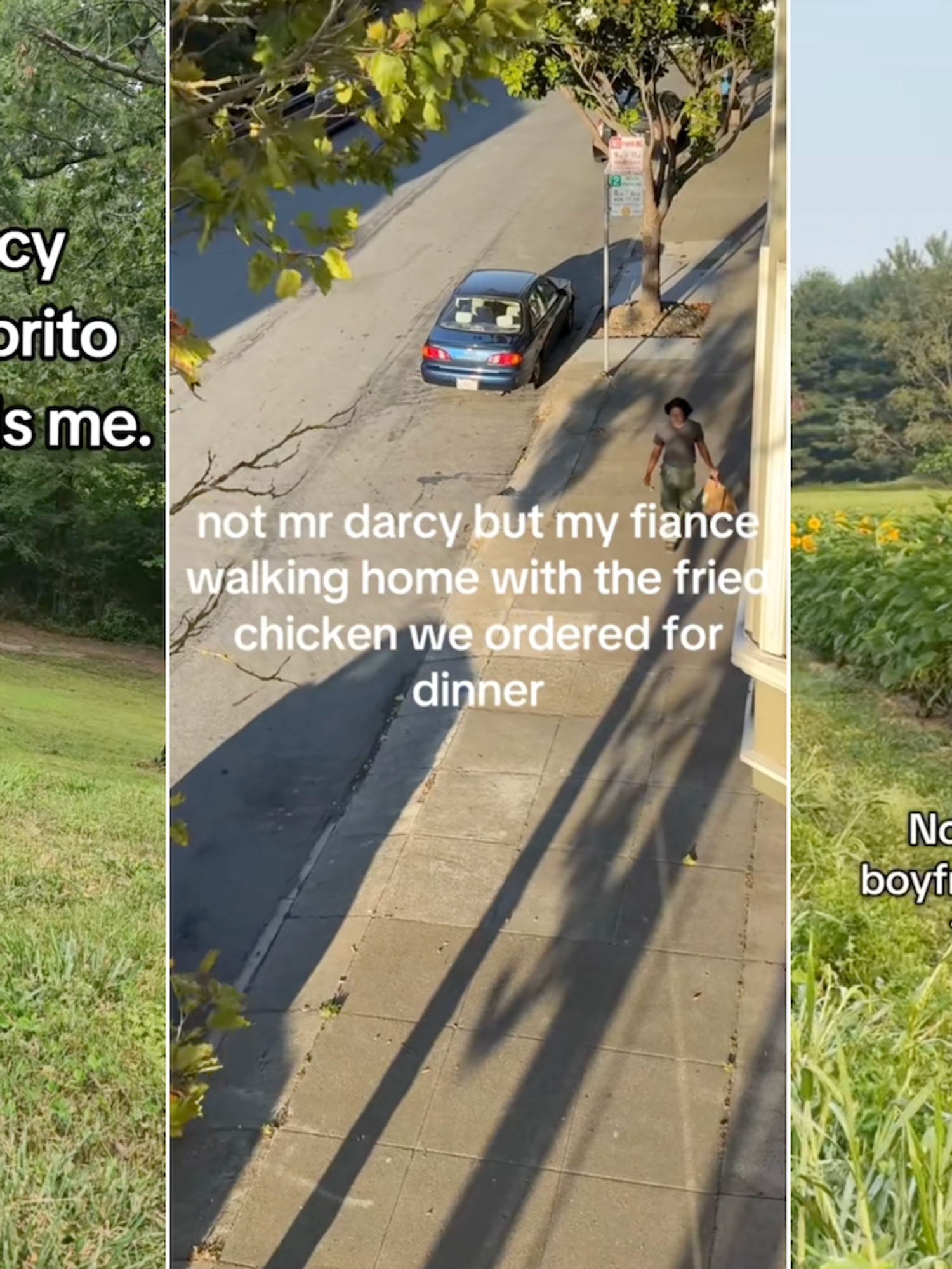 Partners and pets channel Mr Darcy in new 'Pride and Prejudice' inspired TikTok trend