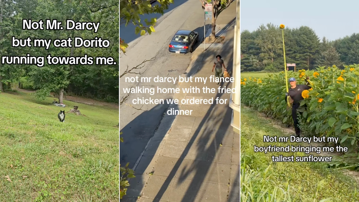Partners and pets channel Mr Darcy in new 'Pride and Prejudice' inspired TikTok trend