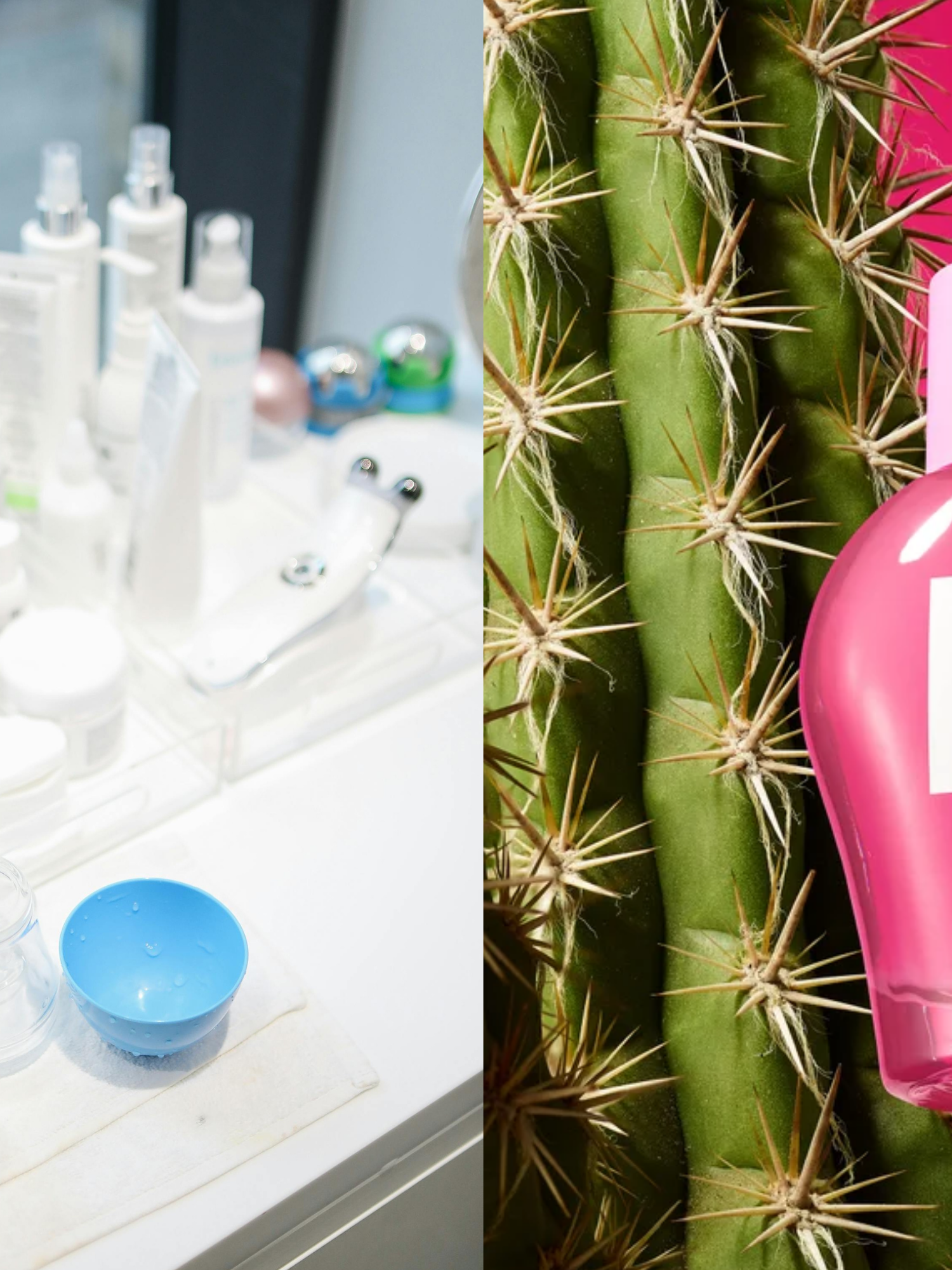 Vegans are ditching snail mucin in favour of this prickly plant for its anti-ageing benefits