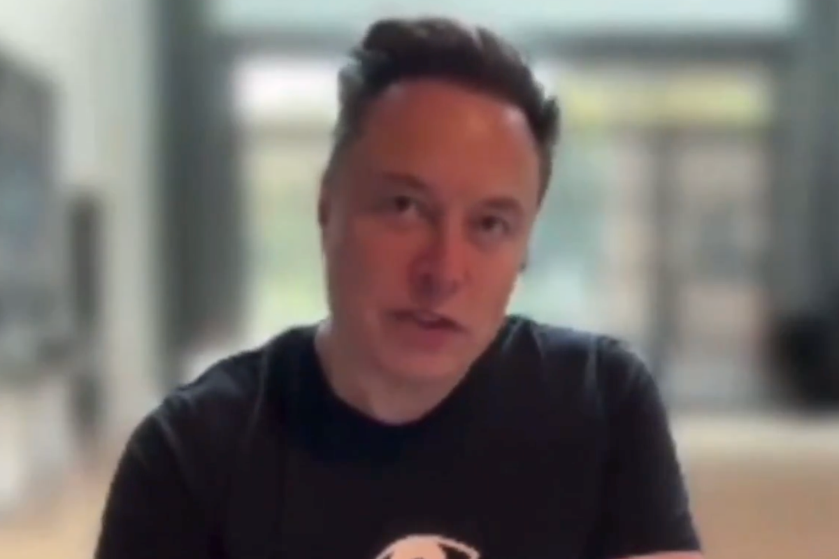 Elon Musk sparks outrage with 'fight back or die' speech at Tommy Robinson rally
