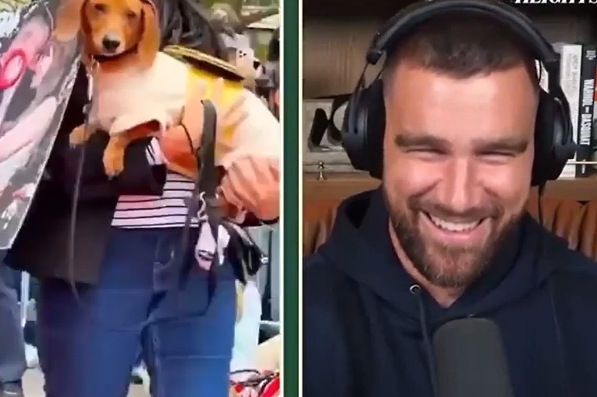 Watch as Travis Kelce howls at dog dressed as Taylor Swift's engagement ring