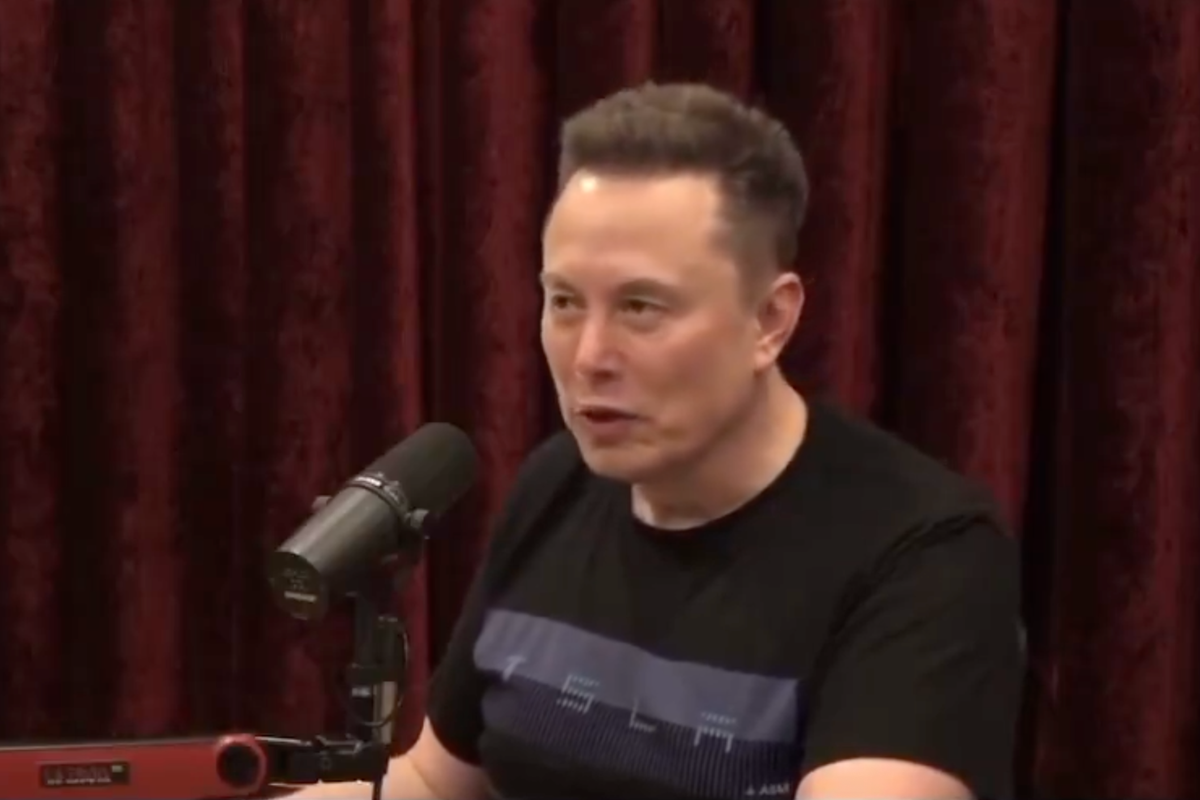 Elon Musk compares Brits to hobbits in bizarre anti-immigration rant