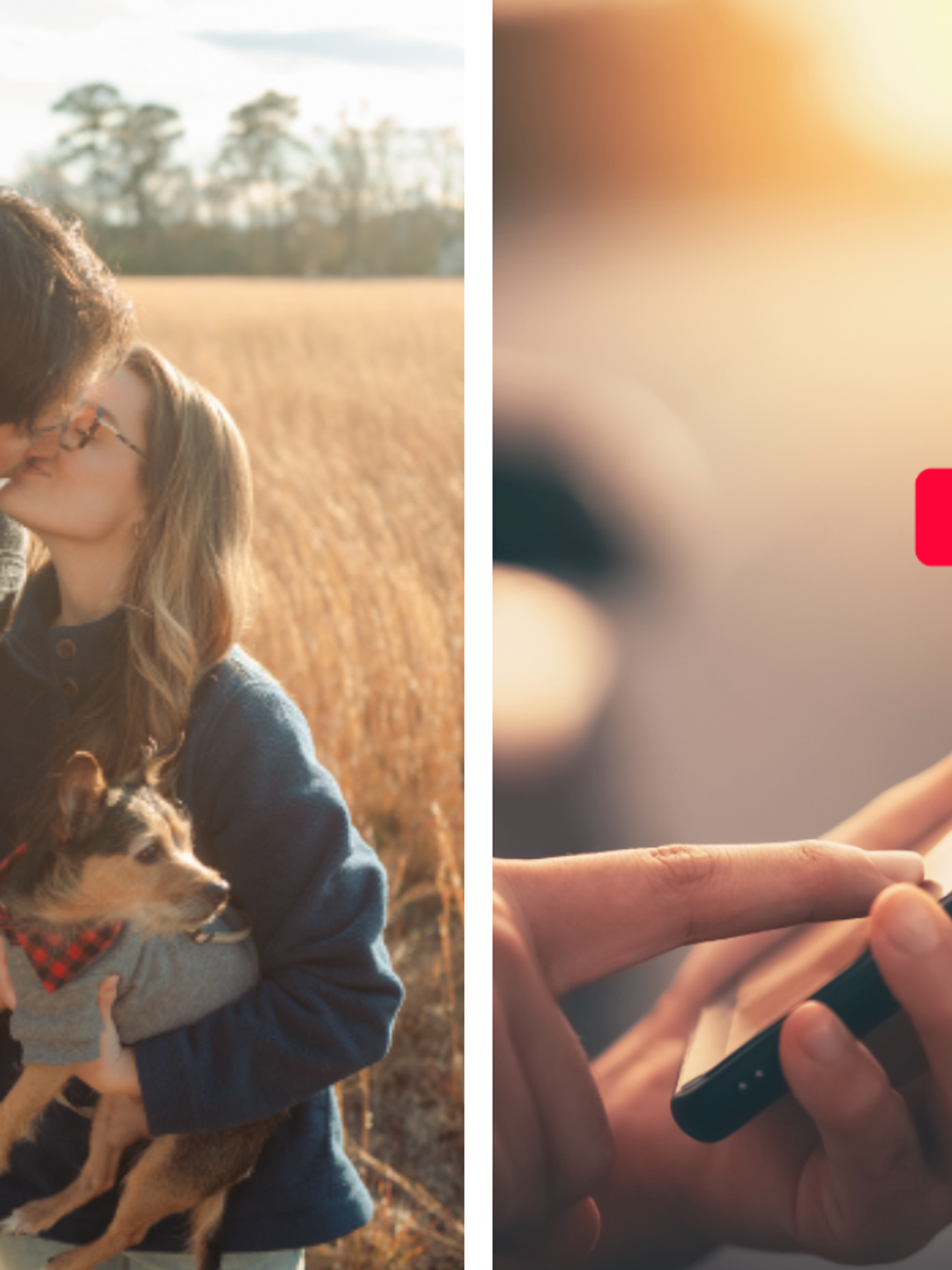 This new dating app uses dogs to help people find their true love