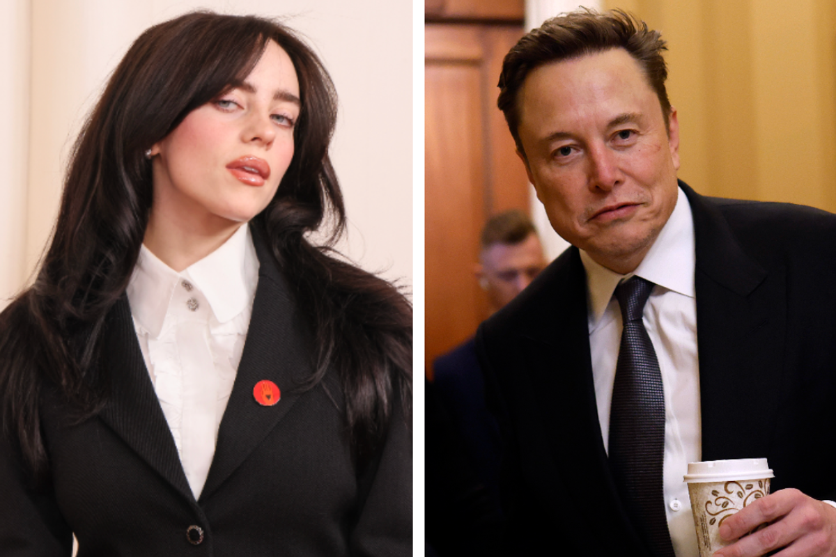 Elon Musk fires back after Billie Eilish blasts him a 'pathetic p***y' in wealth row