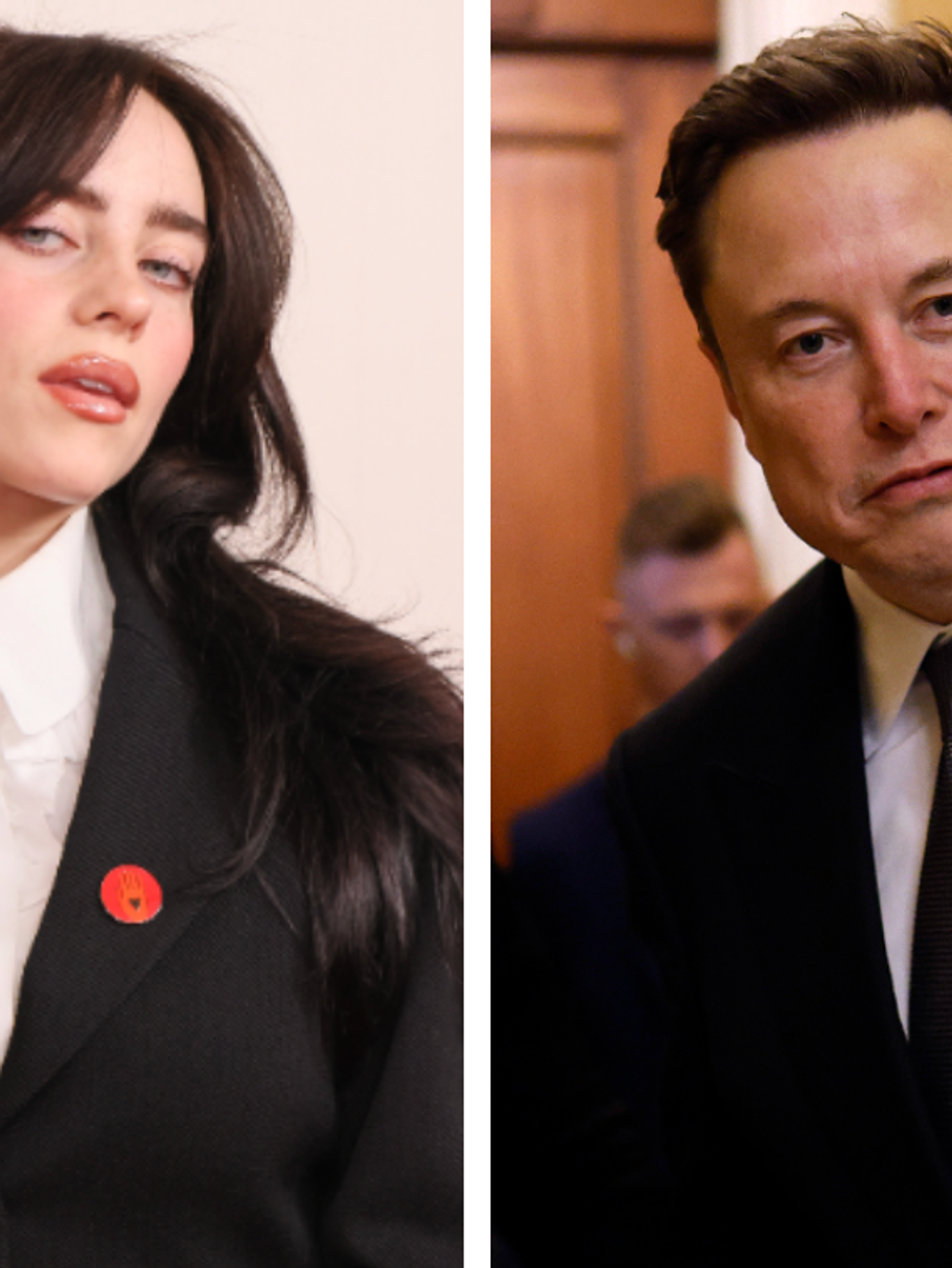 Elon Musk fires back after Billie Eilish blasts him a 'pathetic p***y' in wealth row
