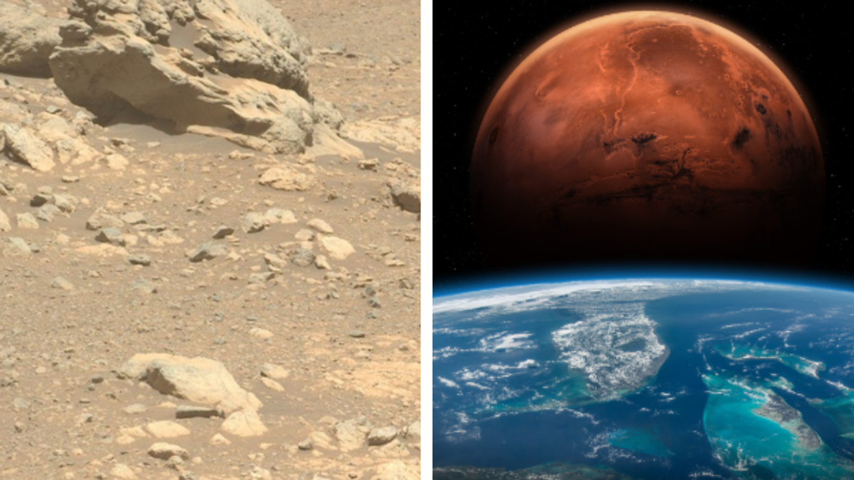 NASA captures photos of unusual rock discovered on Mars that doesn't actually belong there
