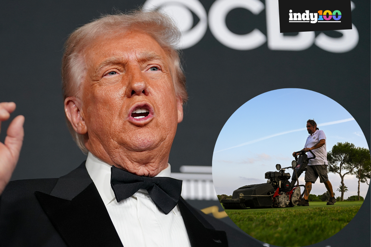 Trump sparks fresh ridicule with bizarre statement on 'IQ' needed to use lawnmowers