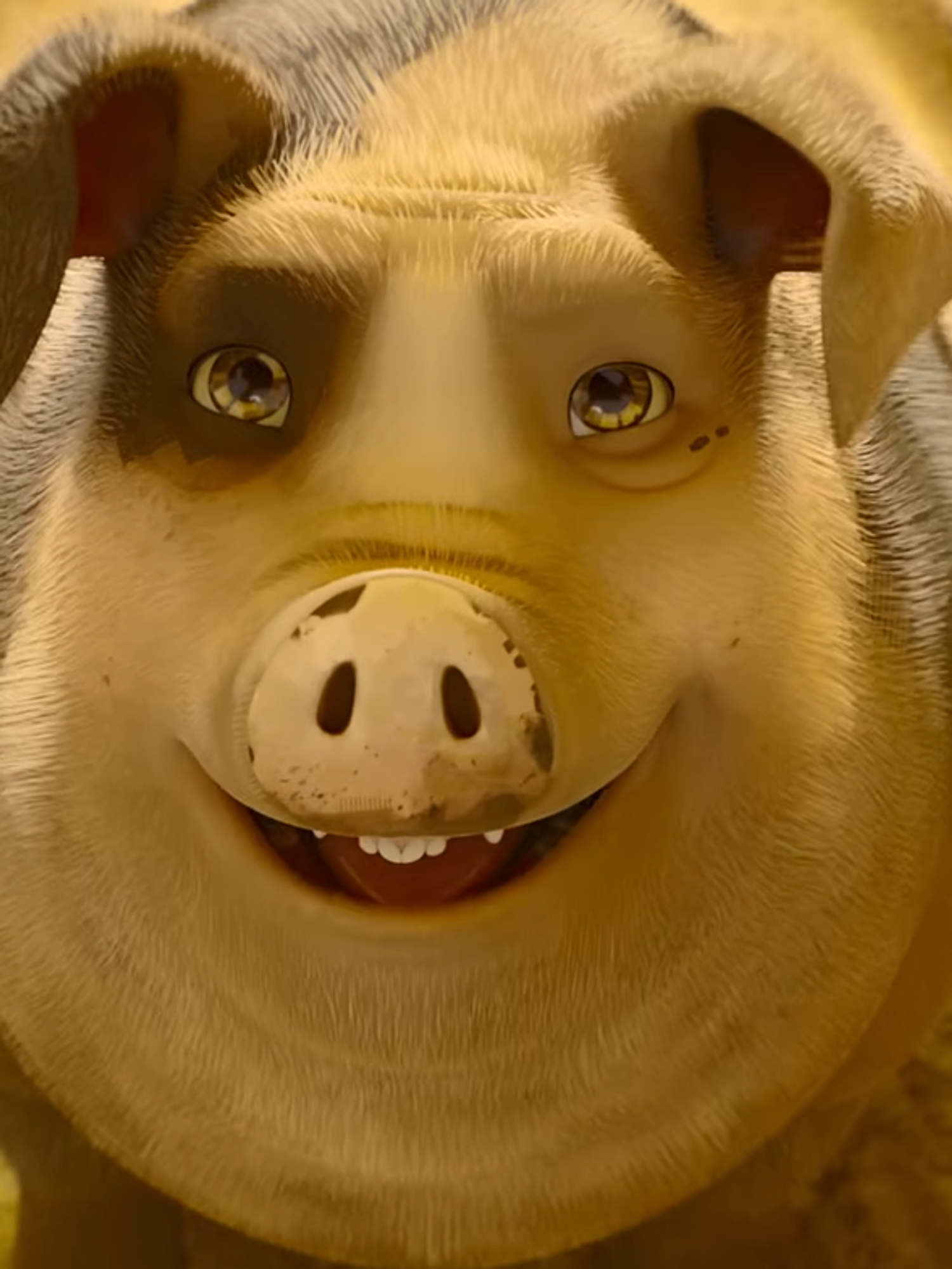 Bizarre Animal Farm animated film trailer leaves viewers ‘speechless’: ‘This absolutely floored me’